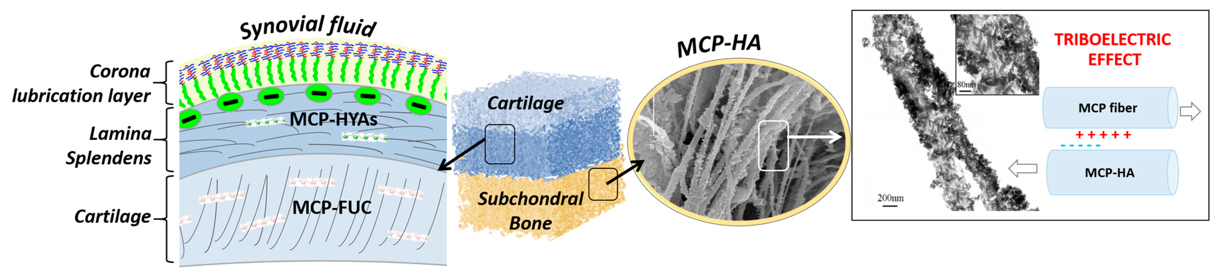 Marinedrugs 21 00212 g005