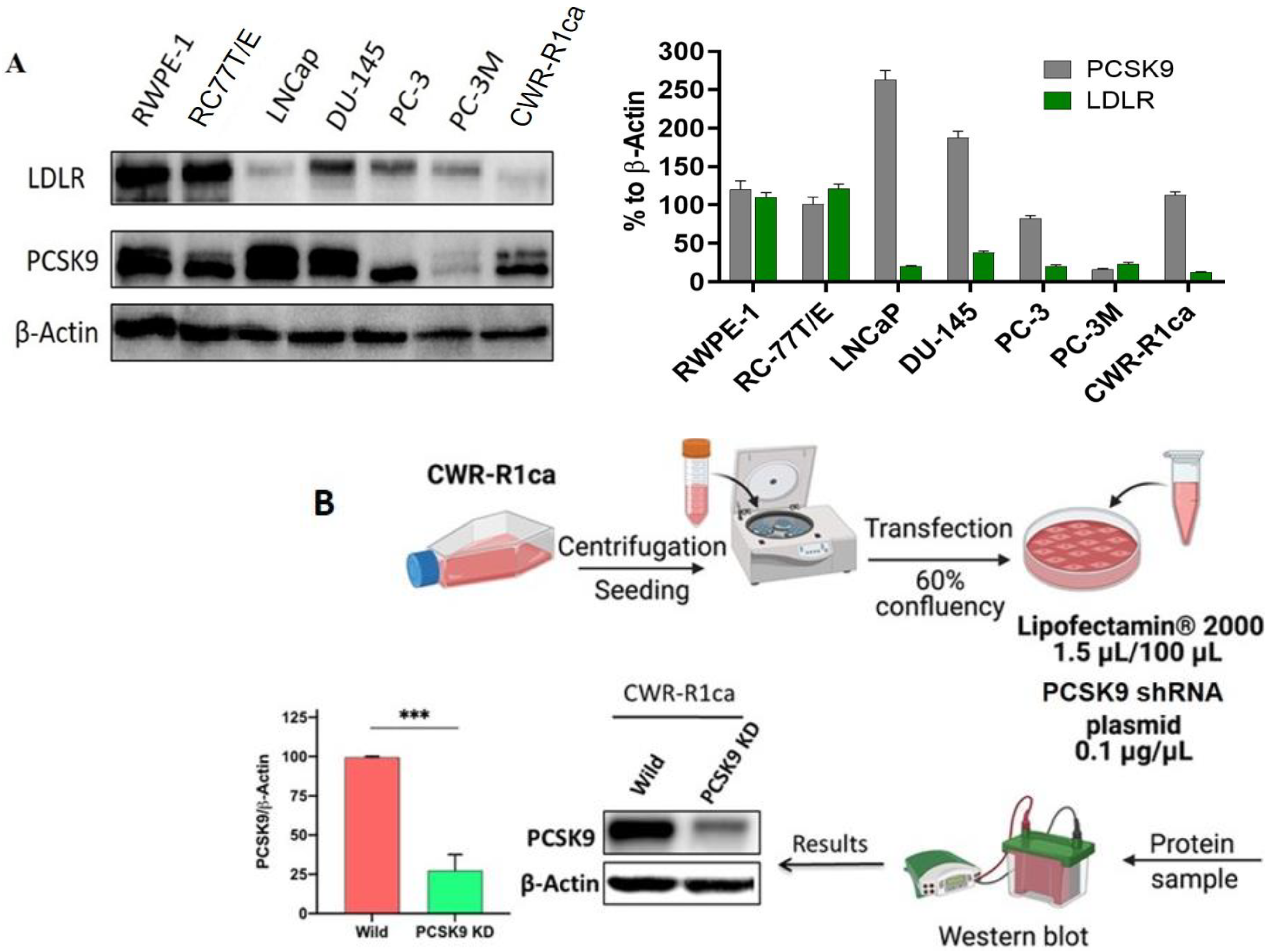 Marinedrugs 21 00215 g001