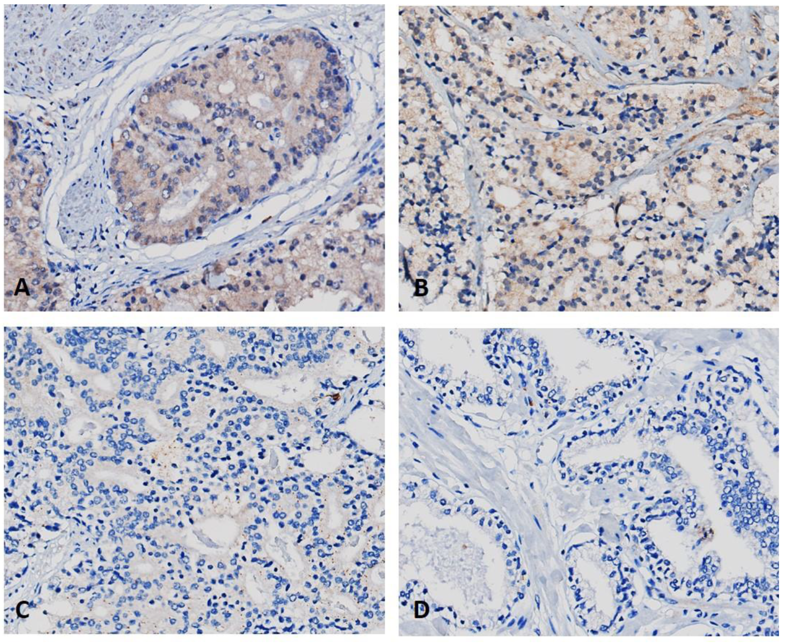 Marinedrugs 21 00215 g003