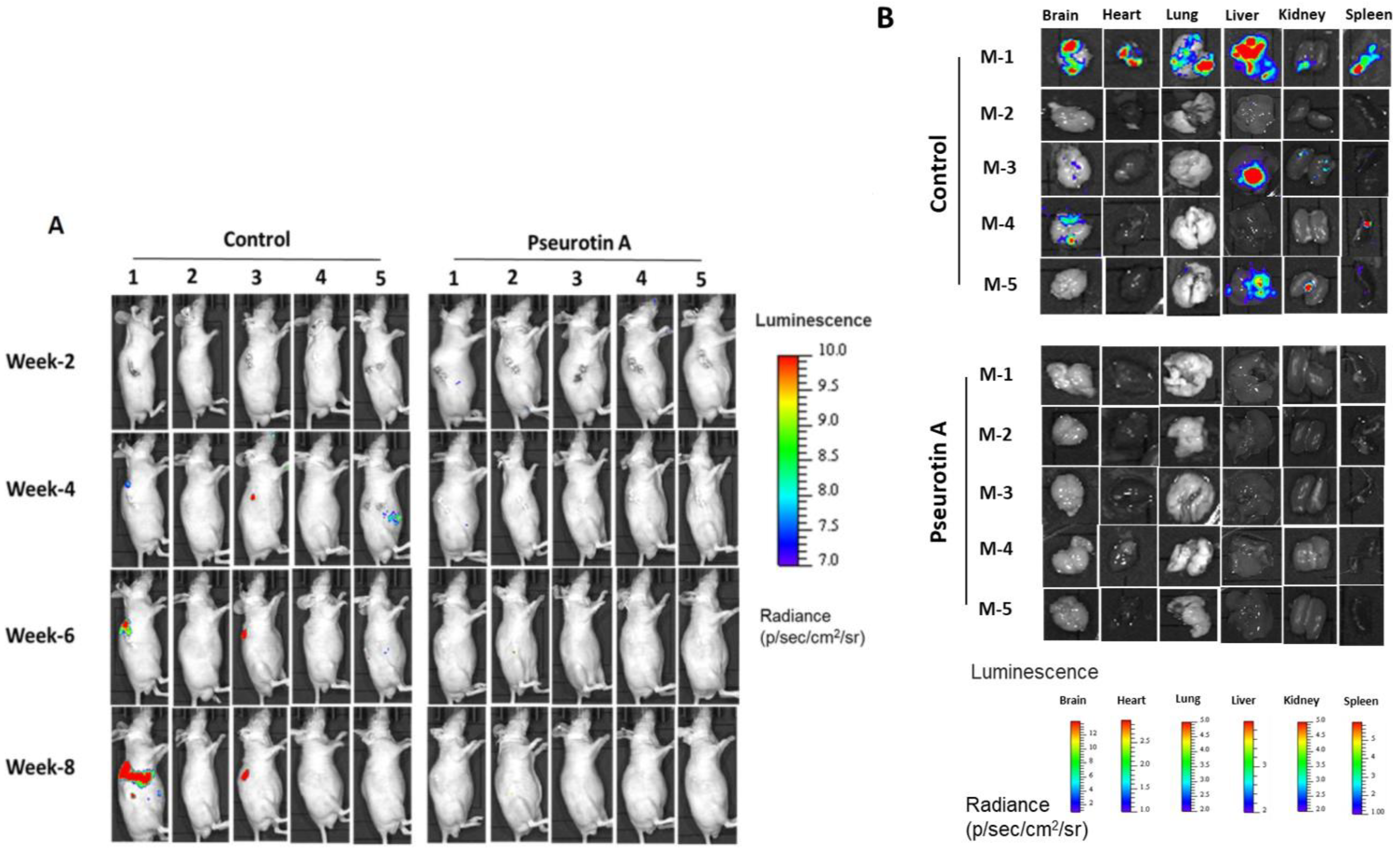 Marinedrugs 21 00215 g010
