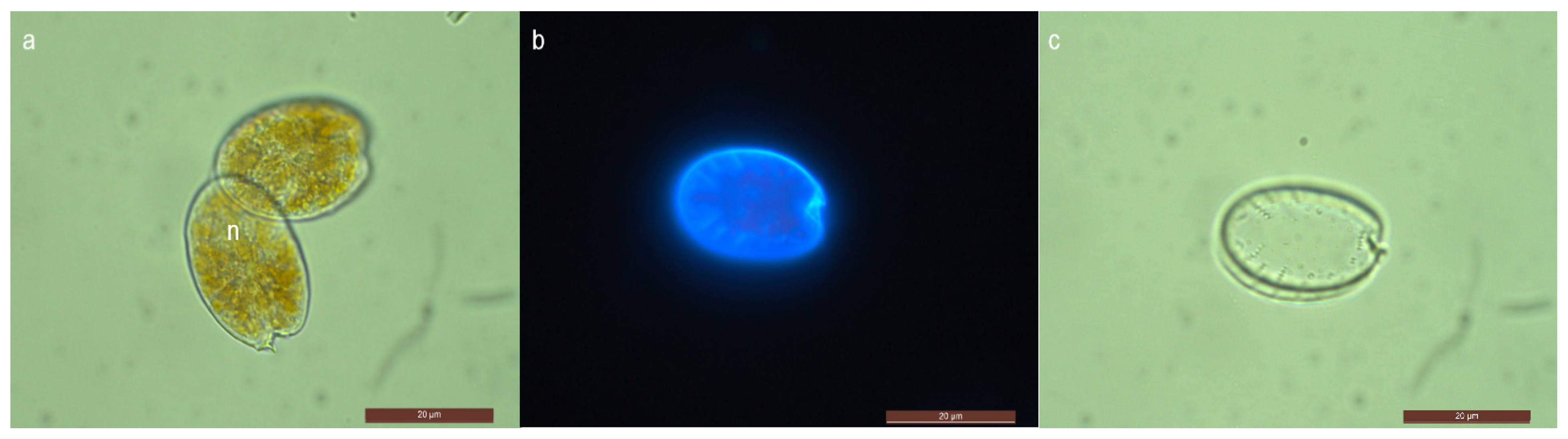 Marinedrugs 21 00216 g001