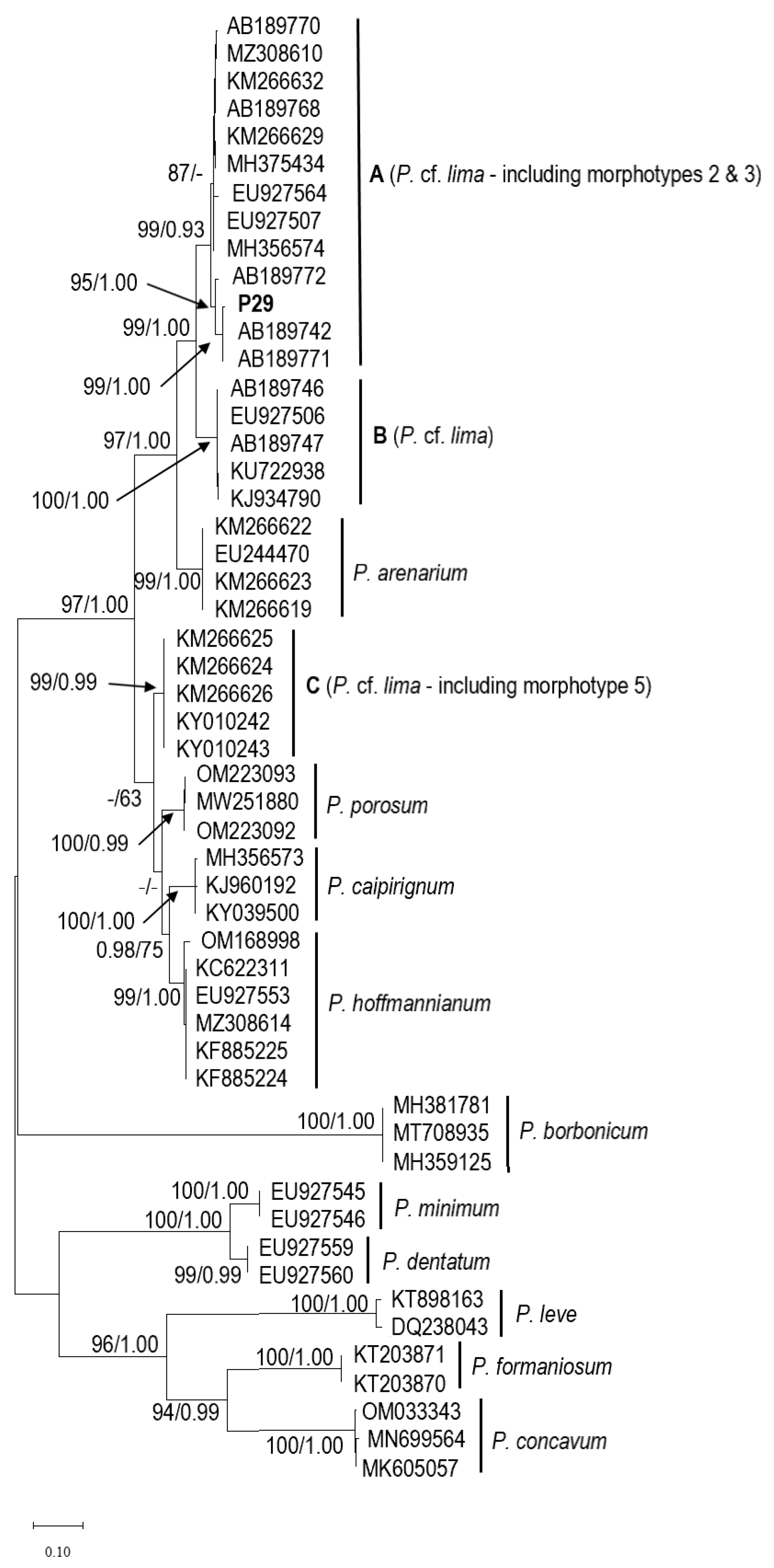 Marinedrugs 21 00216 g006