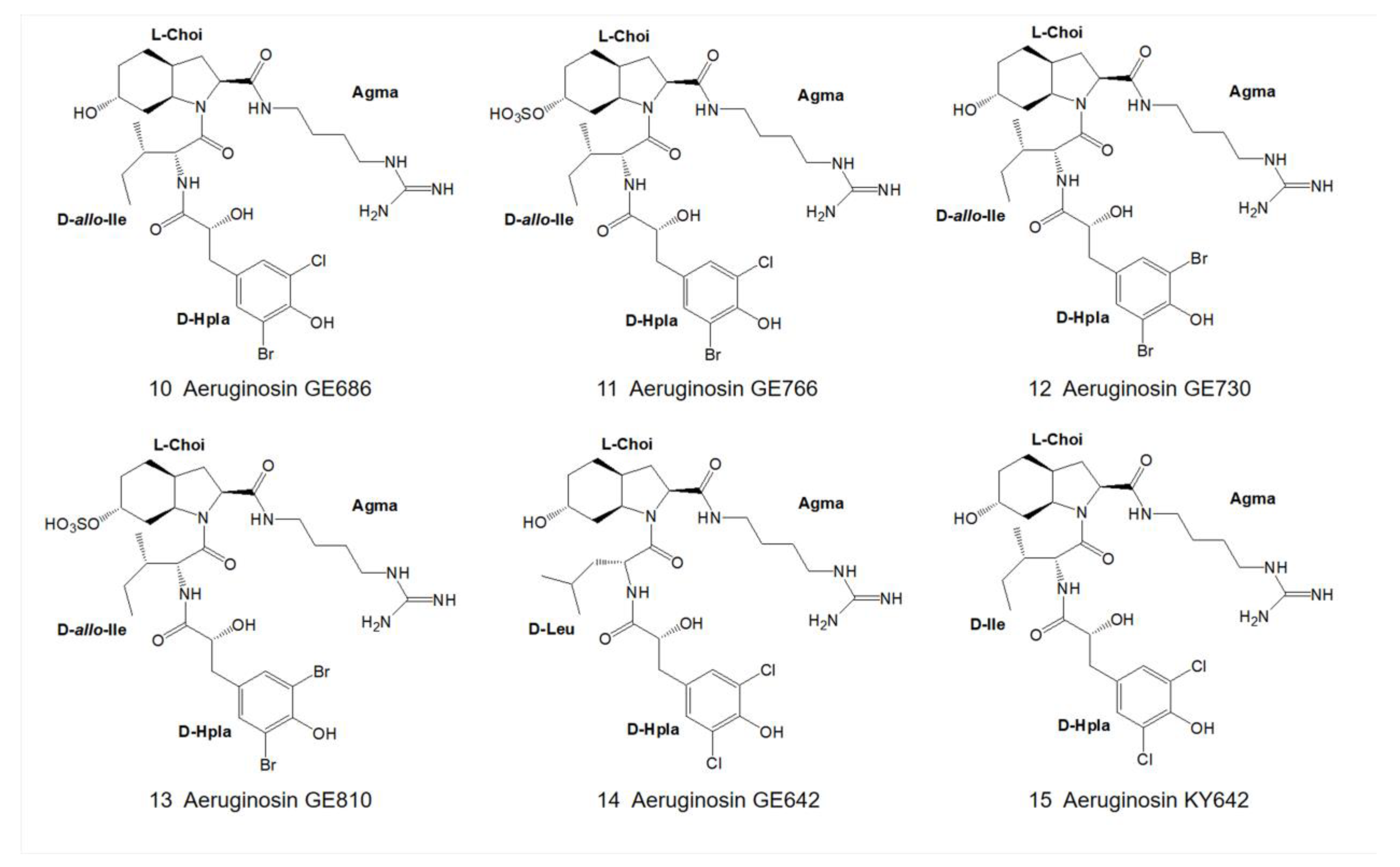 Marinedrugs 21 00217 g003