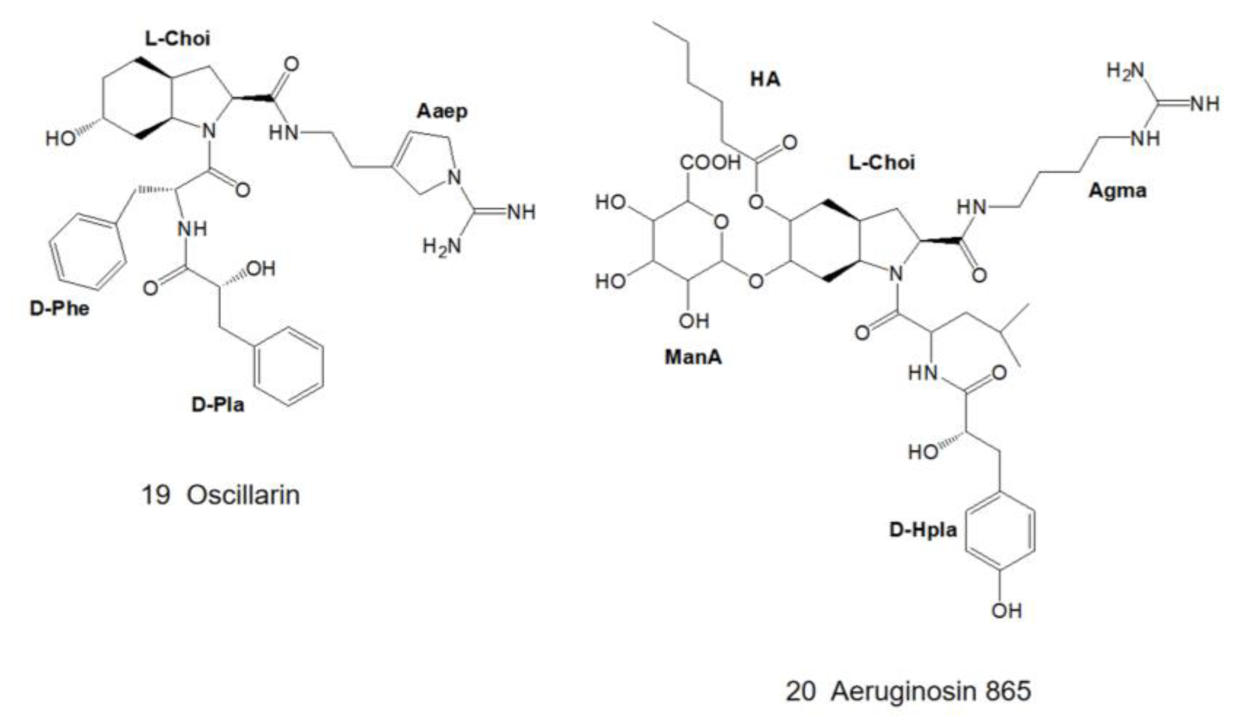 Marinedrugs 21 00217 g005