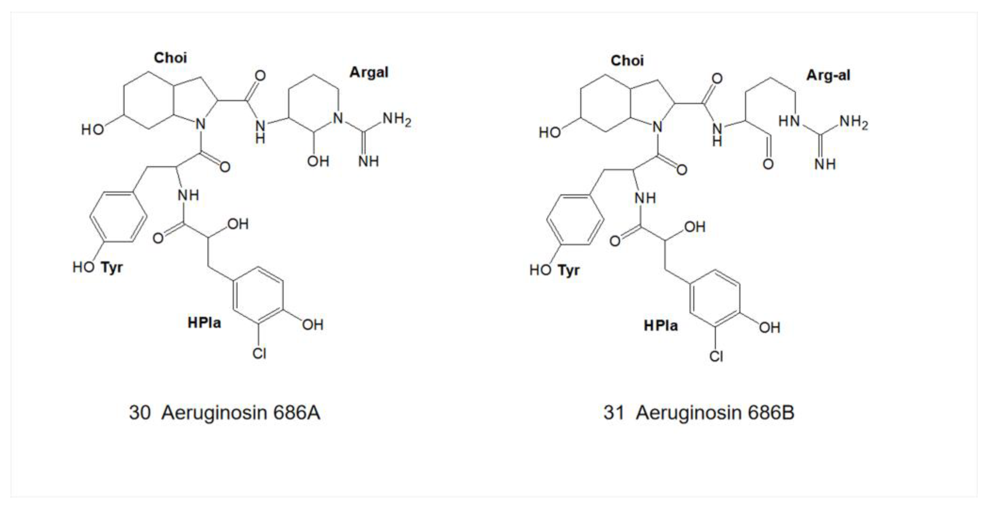 Marinedrugs 21 00217 g009