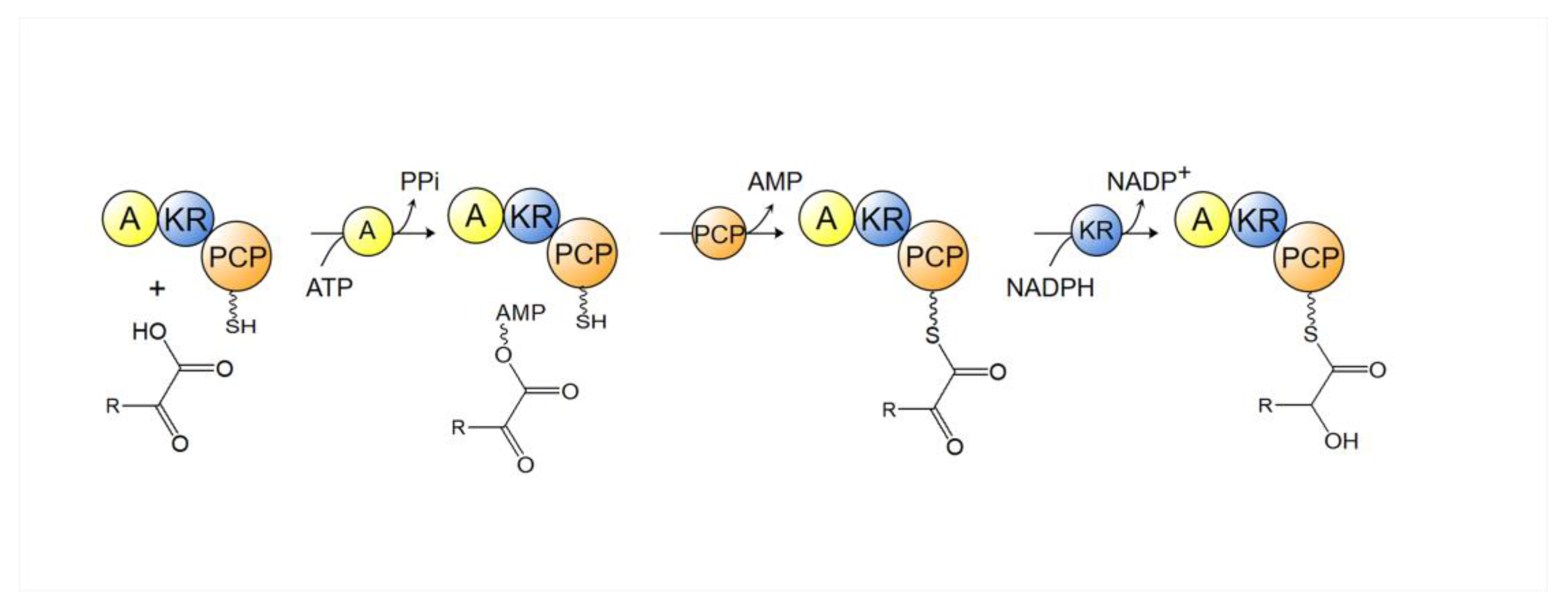 Marinedrugs 21 00217 g011