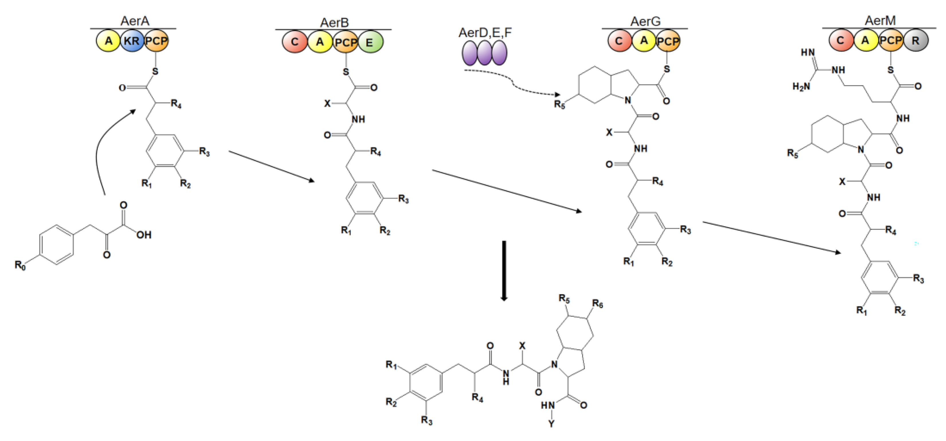 Marinedrugs 21 00217 g012