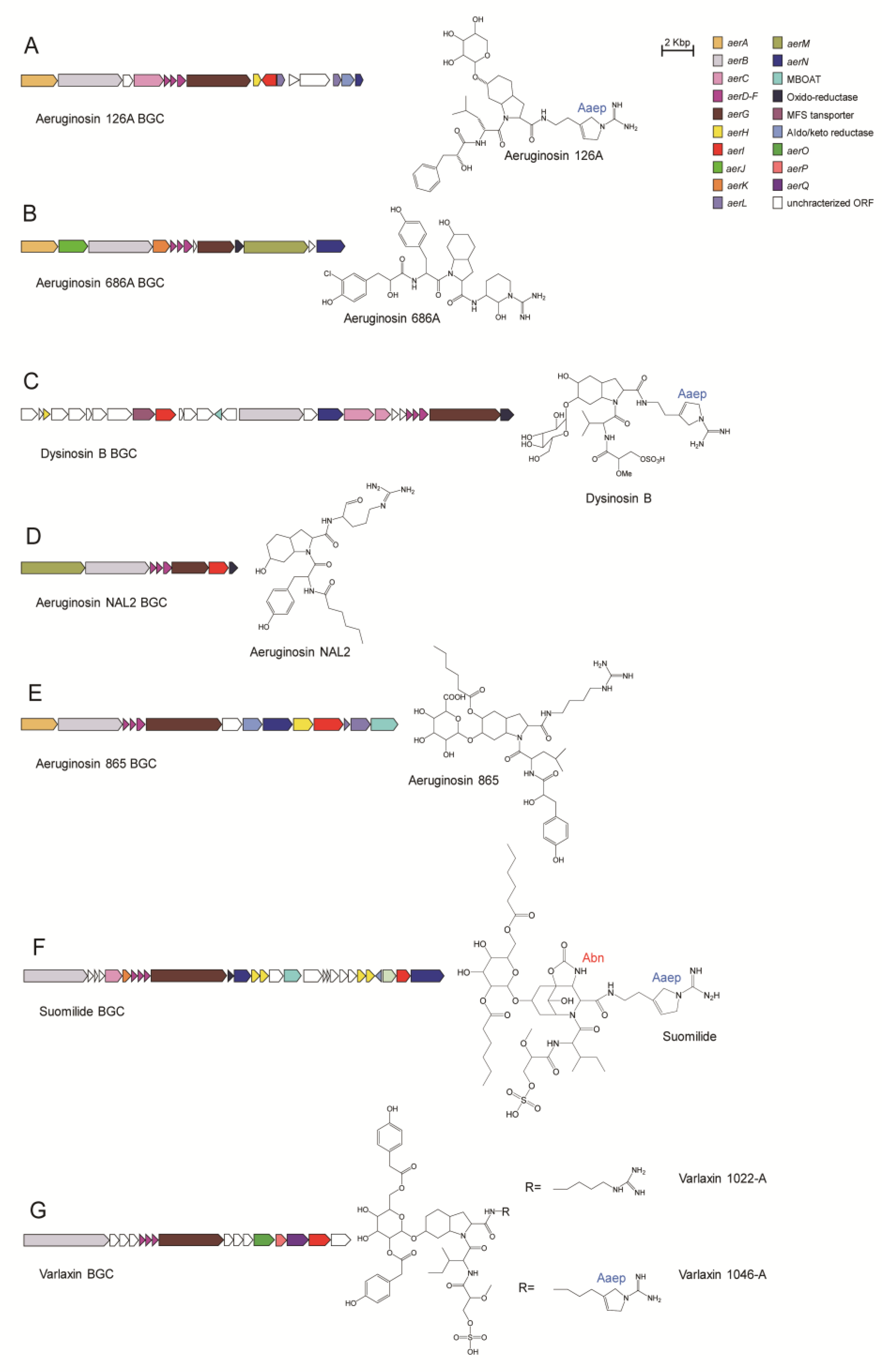 Marinedrugs 21 00217 g013