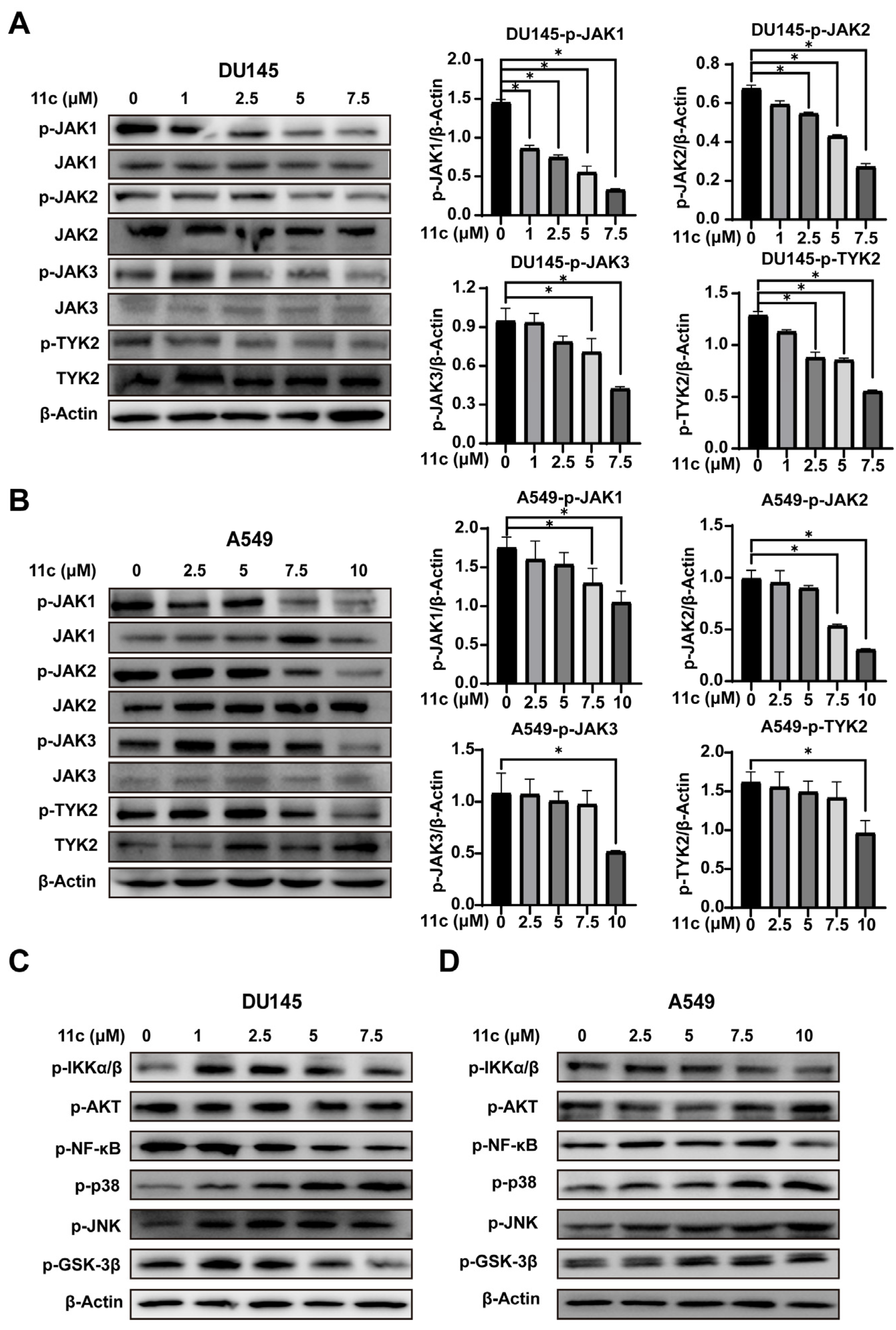 Marinedrugs 21 00218 g004