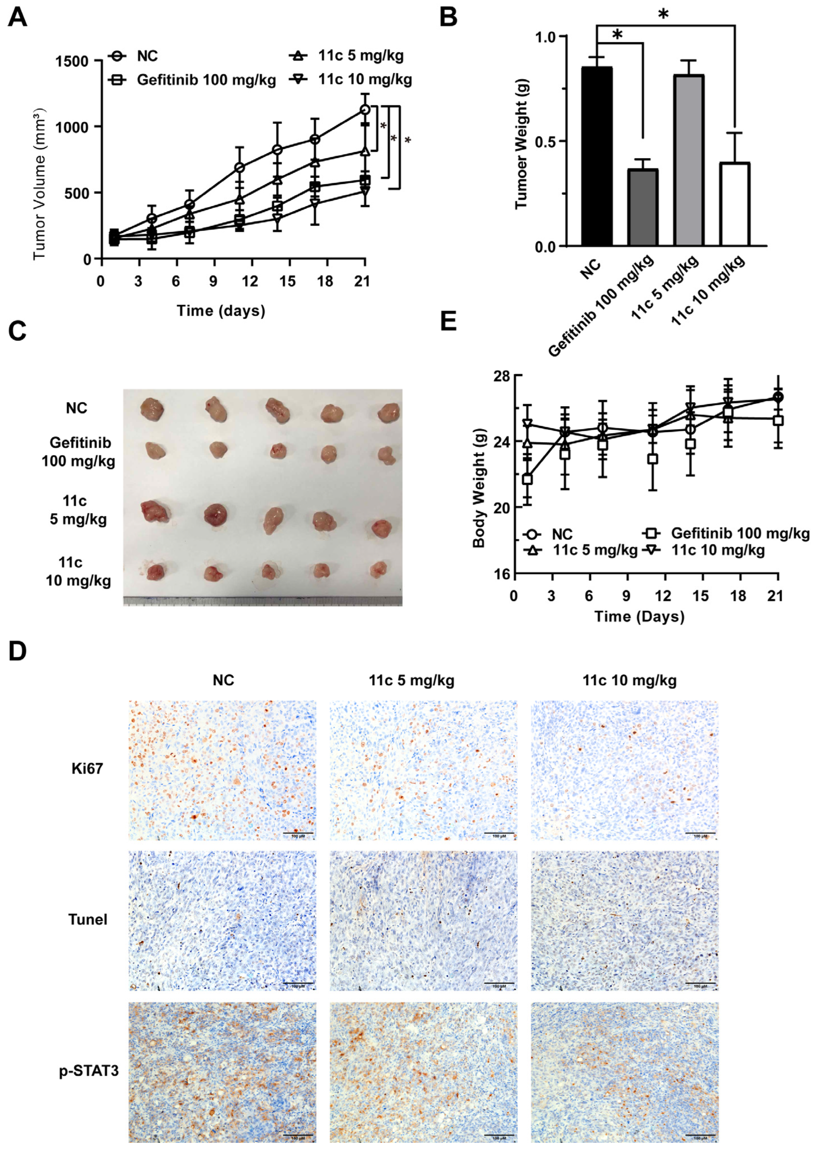 Marinedrugs 21 00218 g007