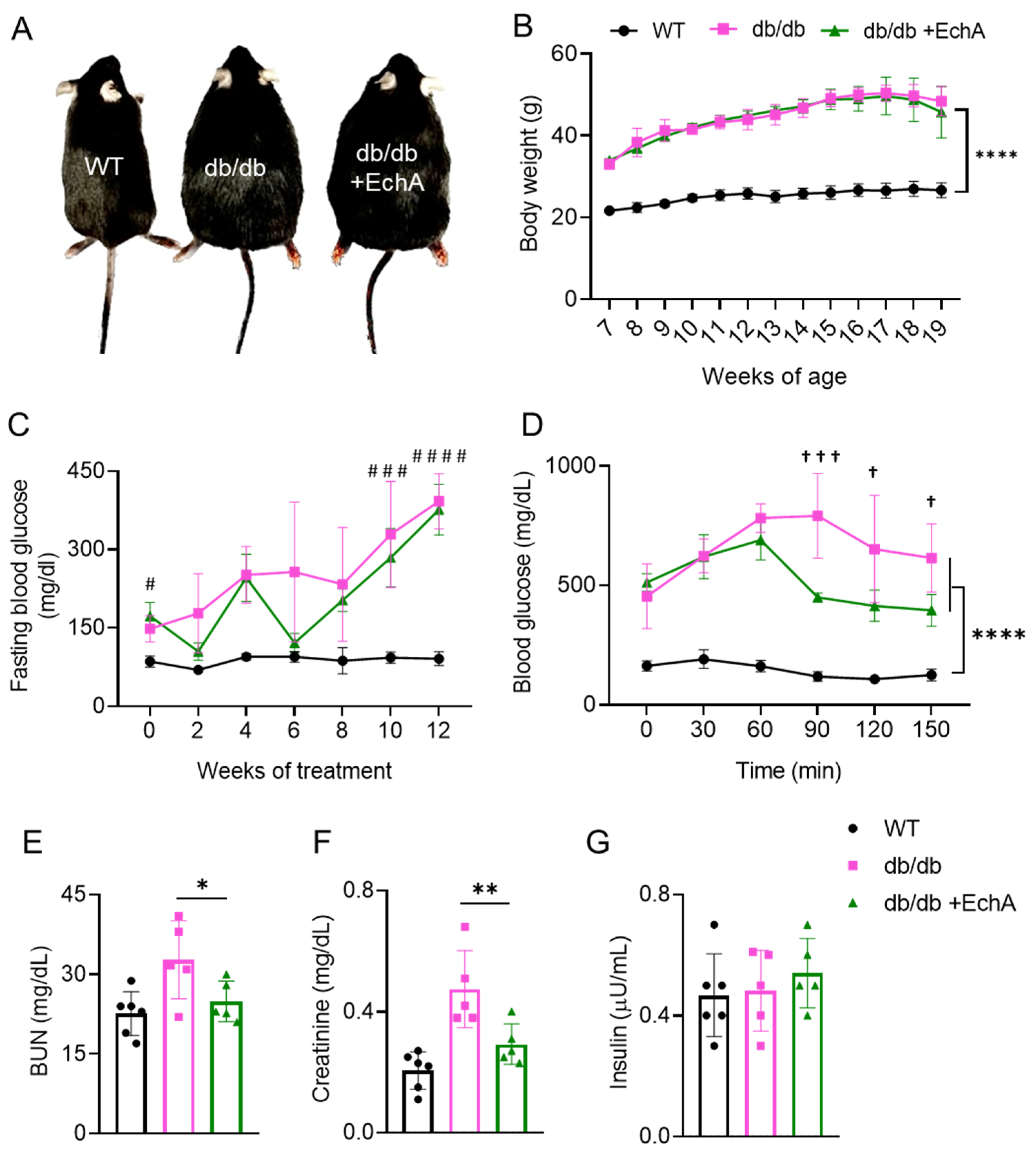 Marinedrugs 21 00222 g001