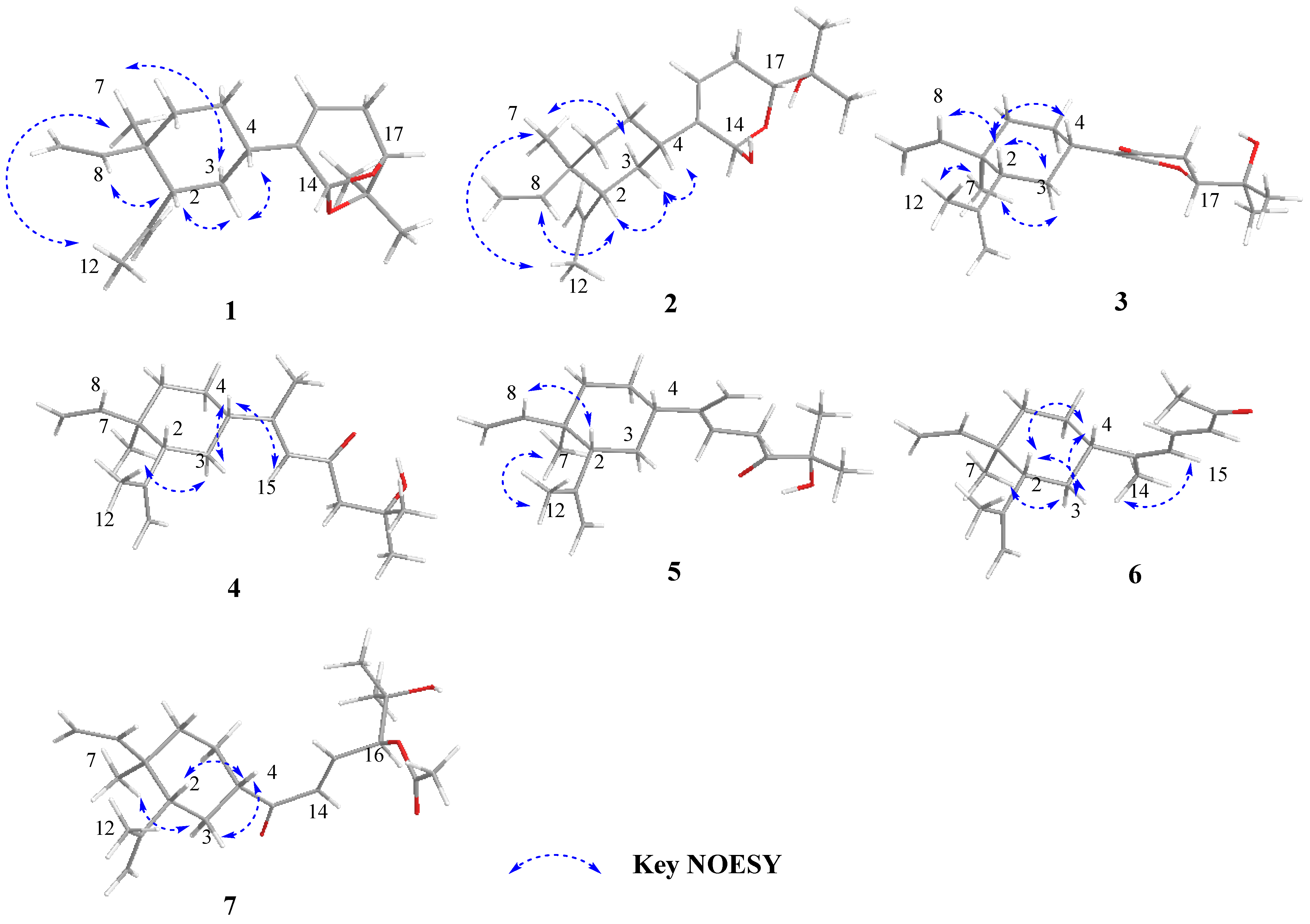Marinedrugs 21 00223 g003