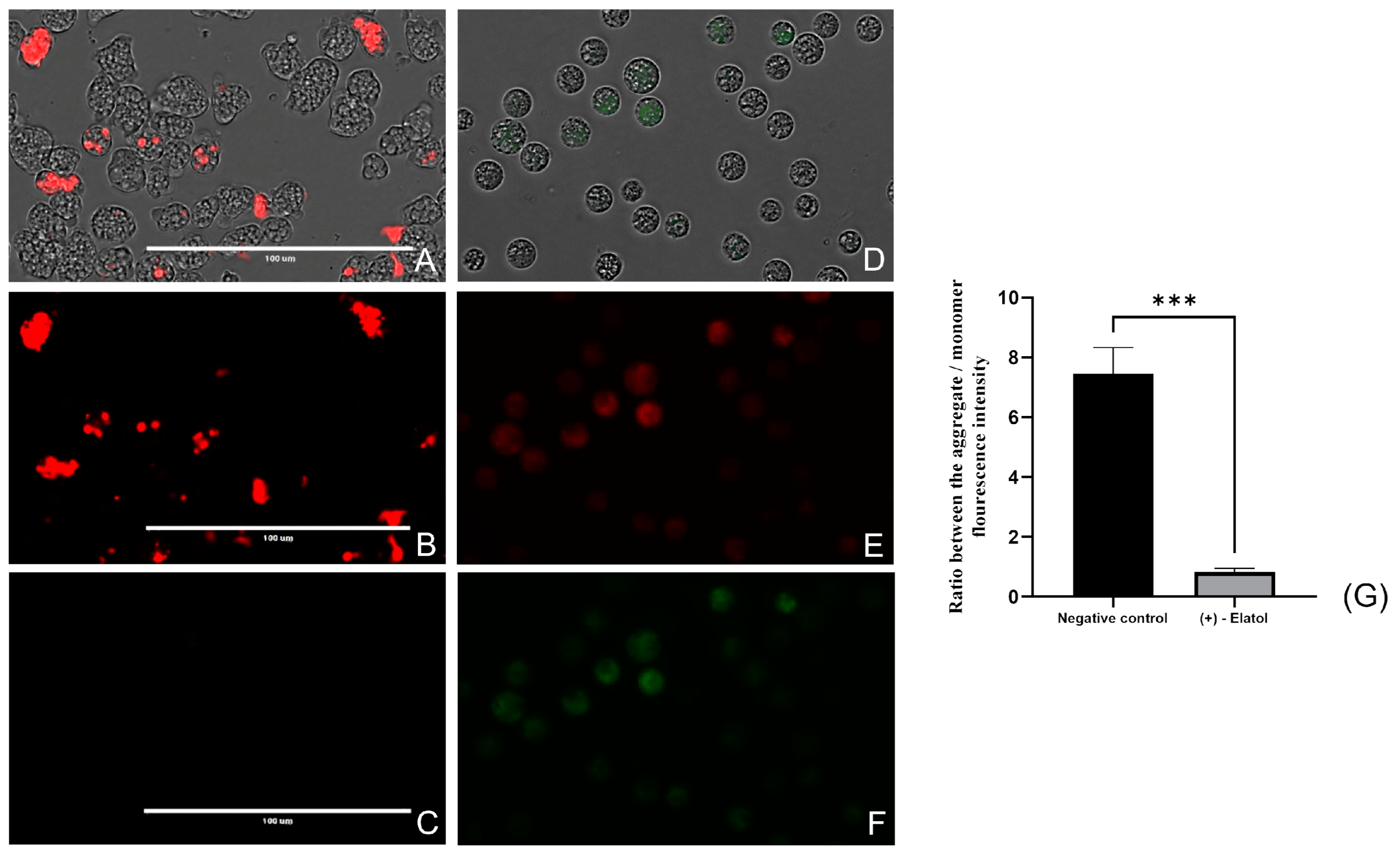Marinedrugs 21 00224 g005 Marinedrugs 21 00224 g005