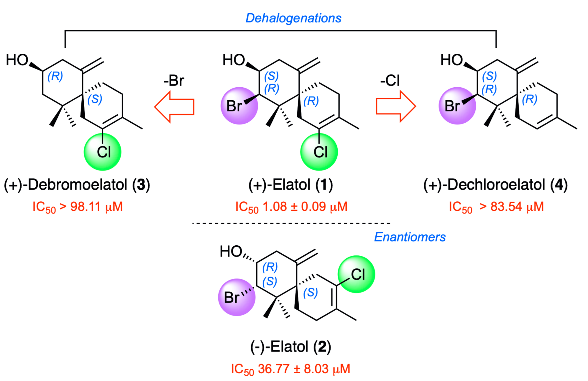 Marinedrugs 21 00224 g007 Marinedrugs 21 00224 g007