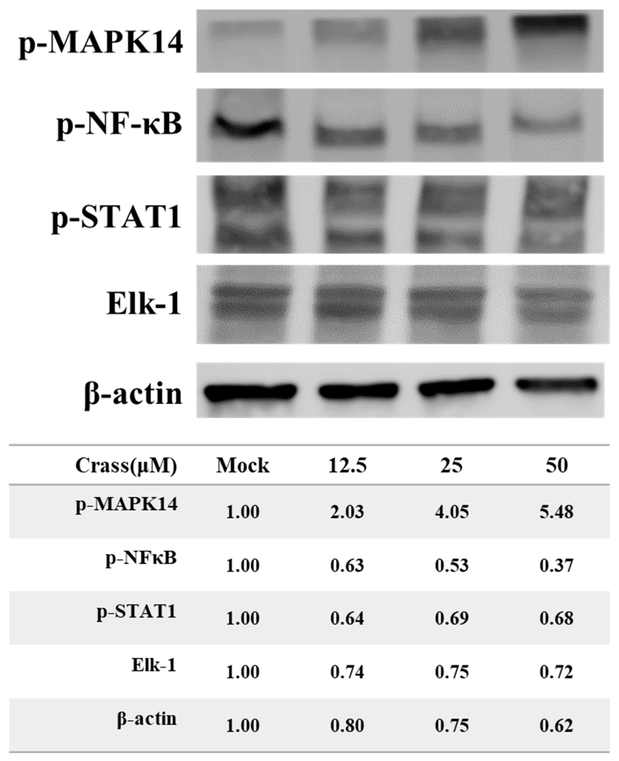 Marinedrugs 21 00225 g008
