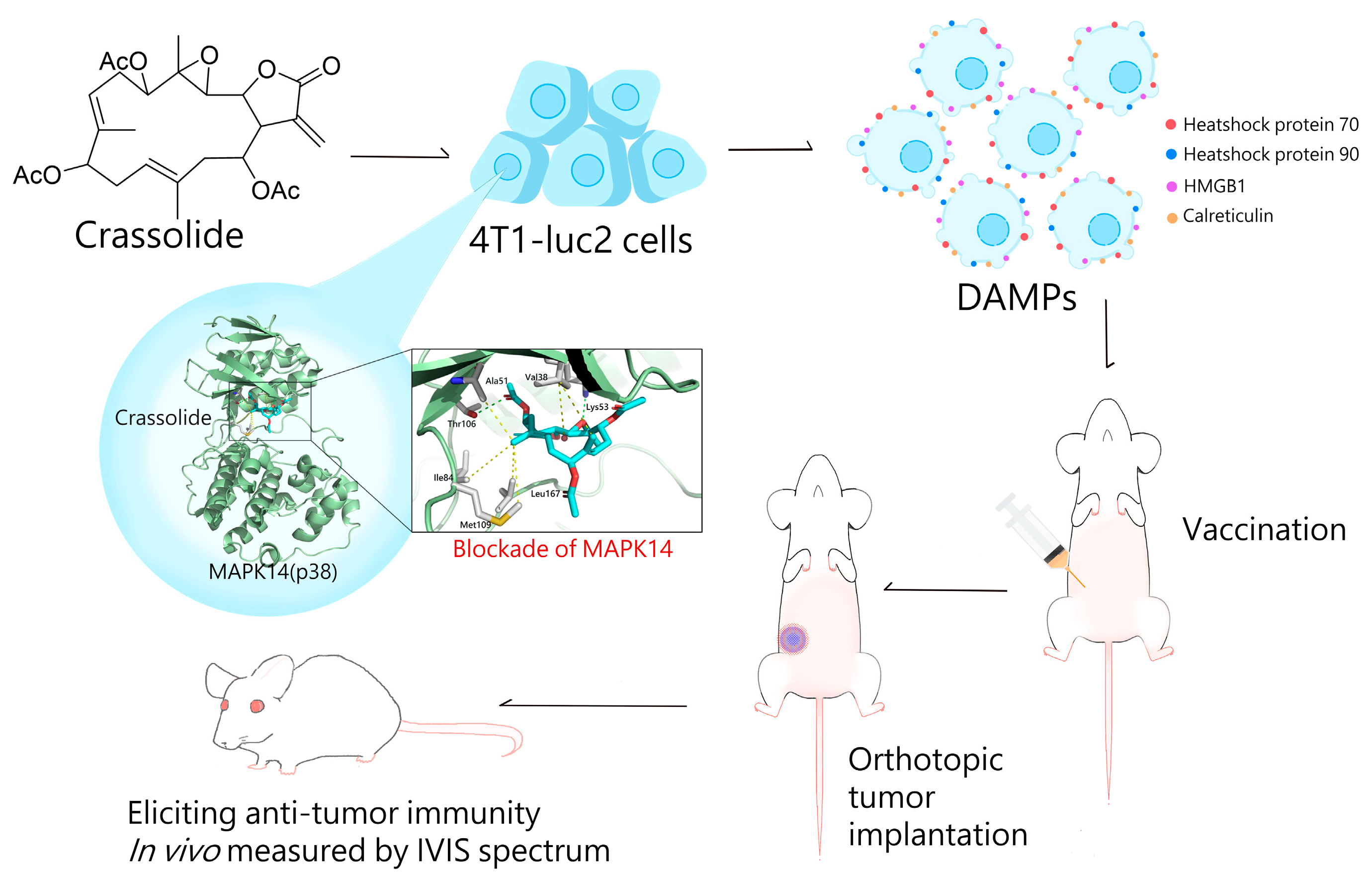 Marinedrugs 21 00225 g009