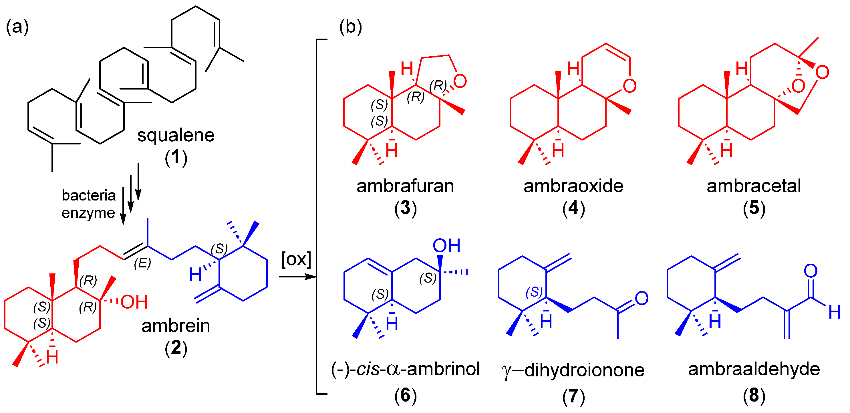 Marinedrugs 21 00230 sch001