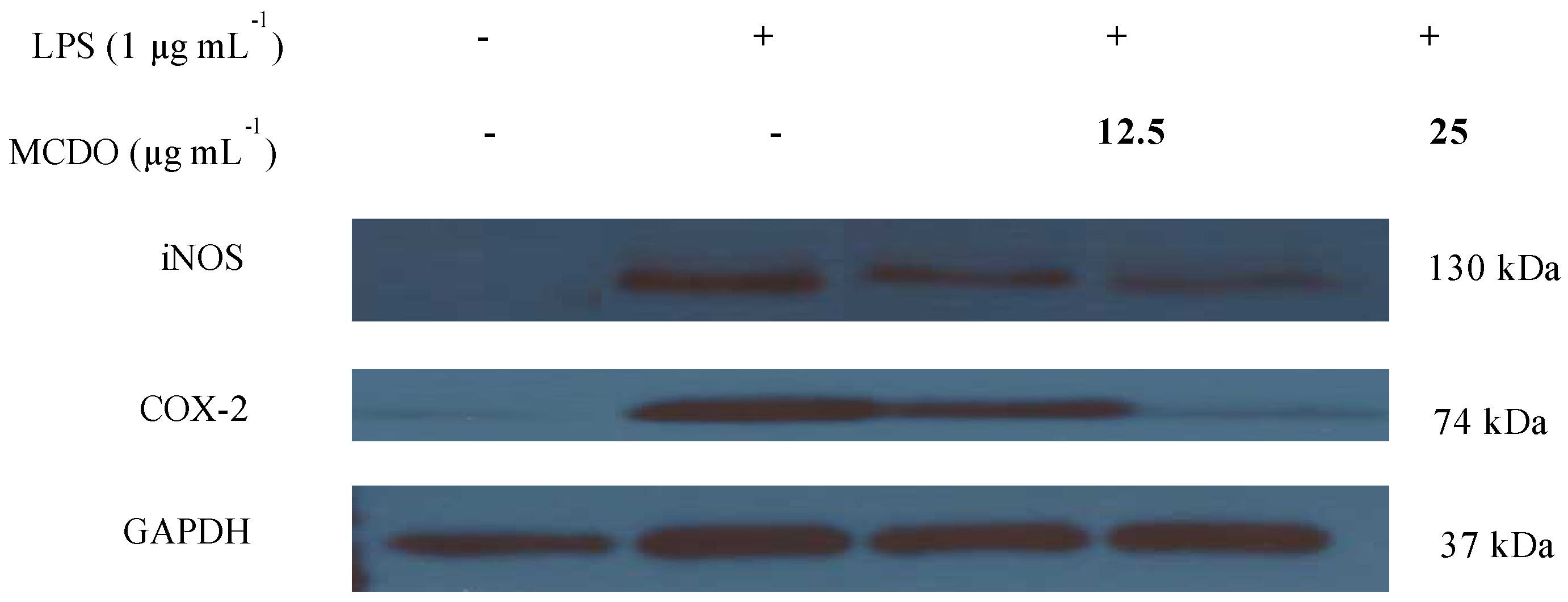 Marinedrugs 21 00231 g004