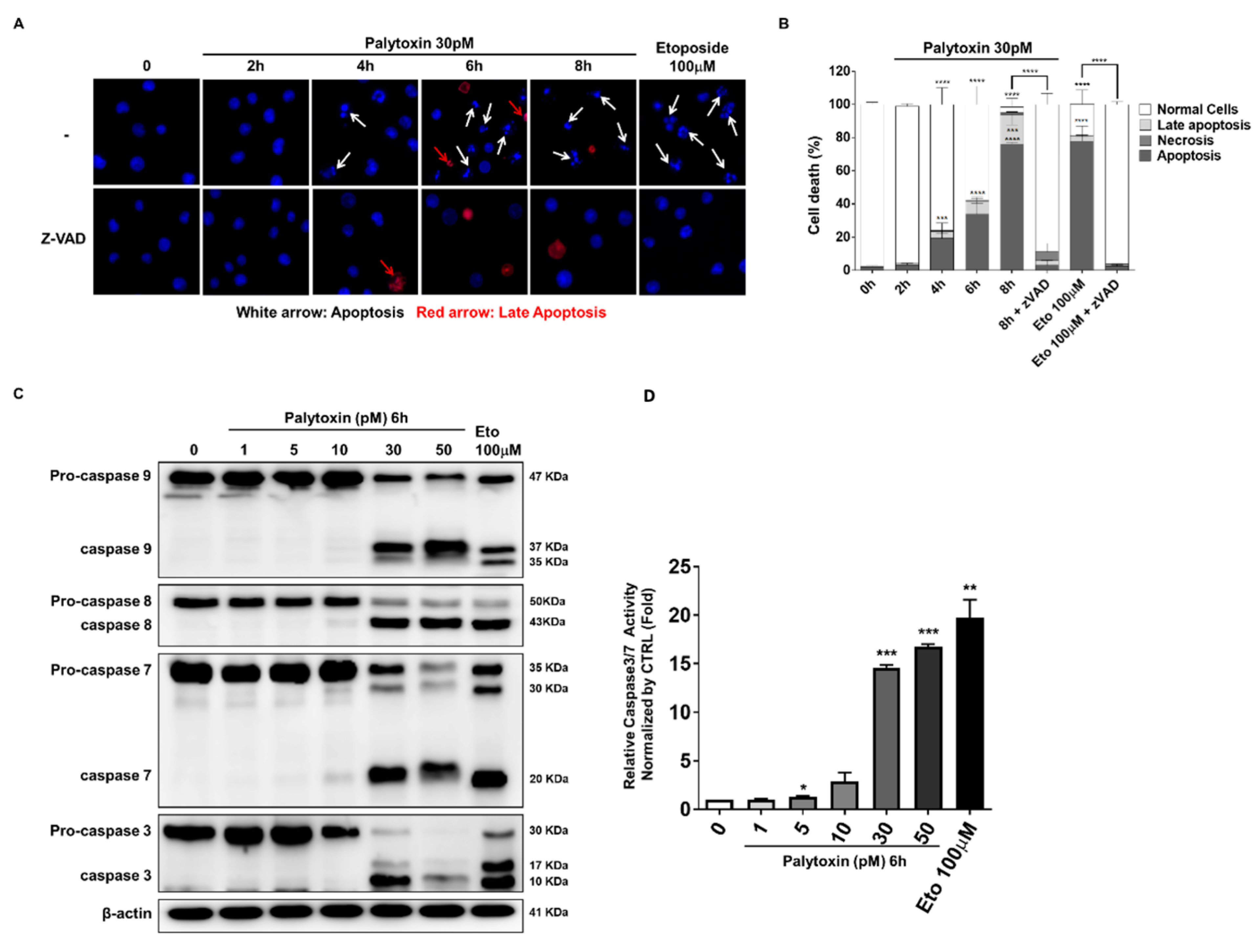 Marinedrugs 21 00233 g004
