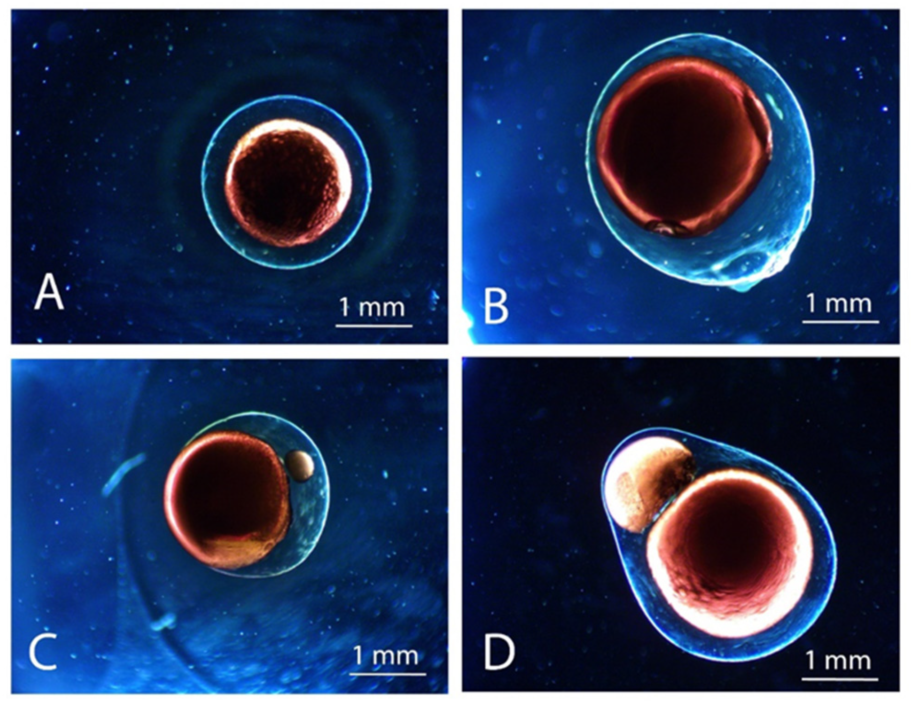 Marinedrugs 21 00235 g003