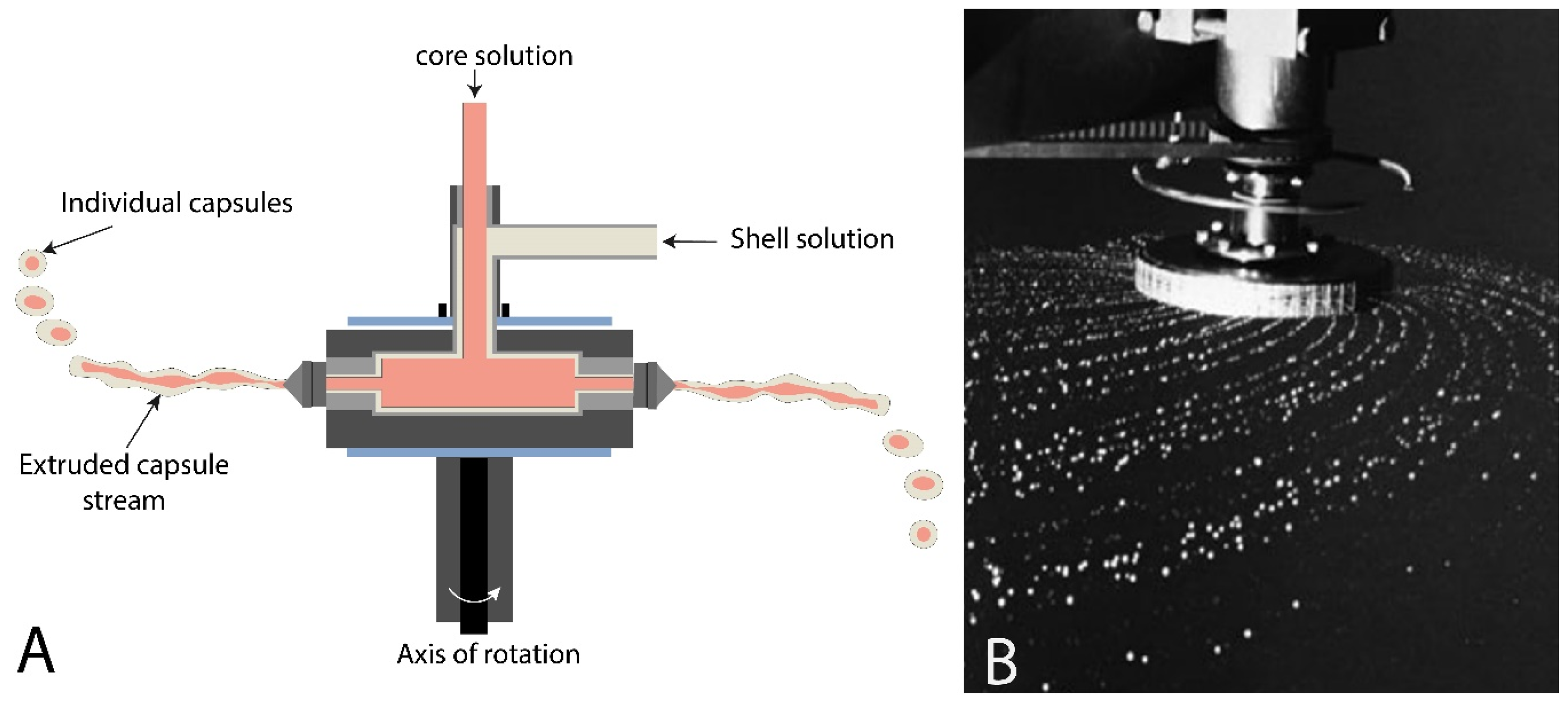 Marinedrugs 21 00235 g007