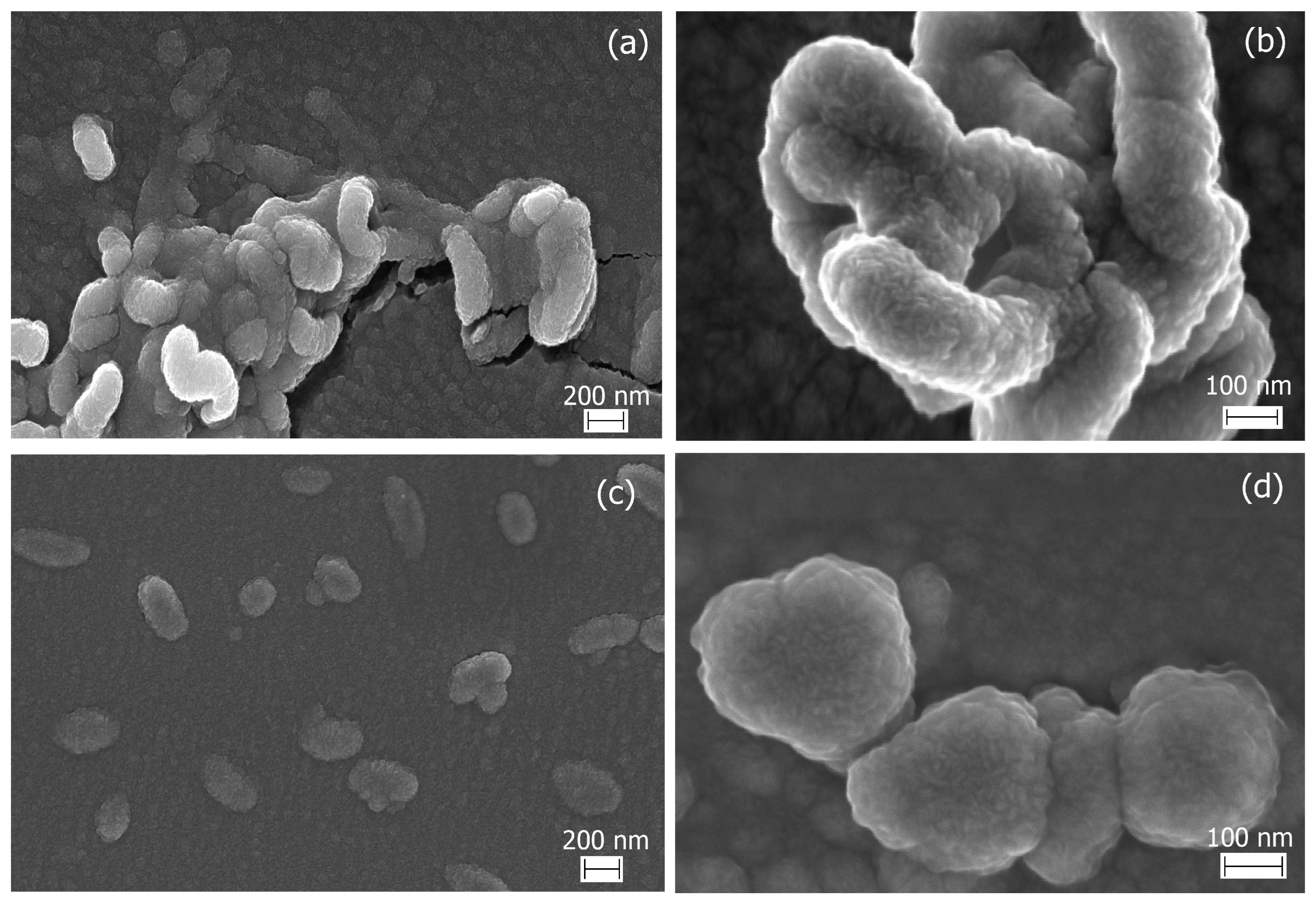 Marinedrugs 21 00238 g003