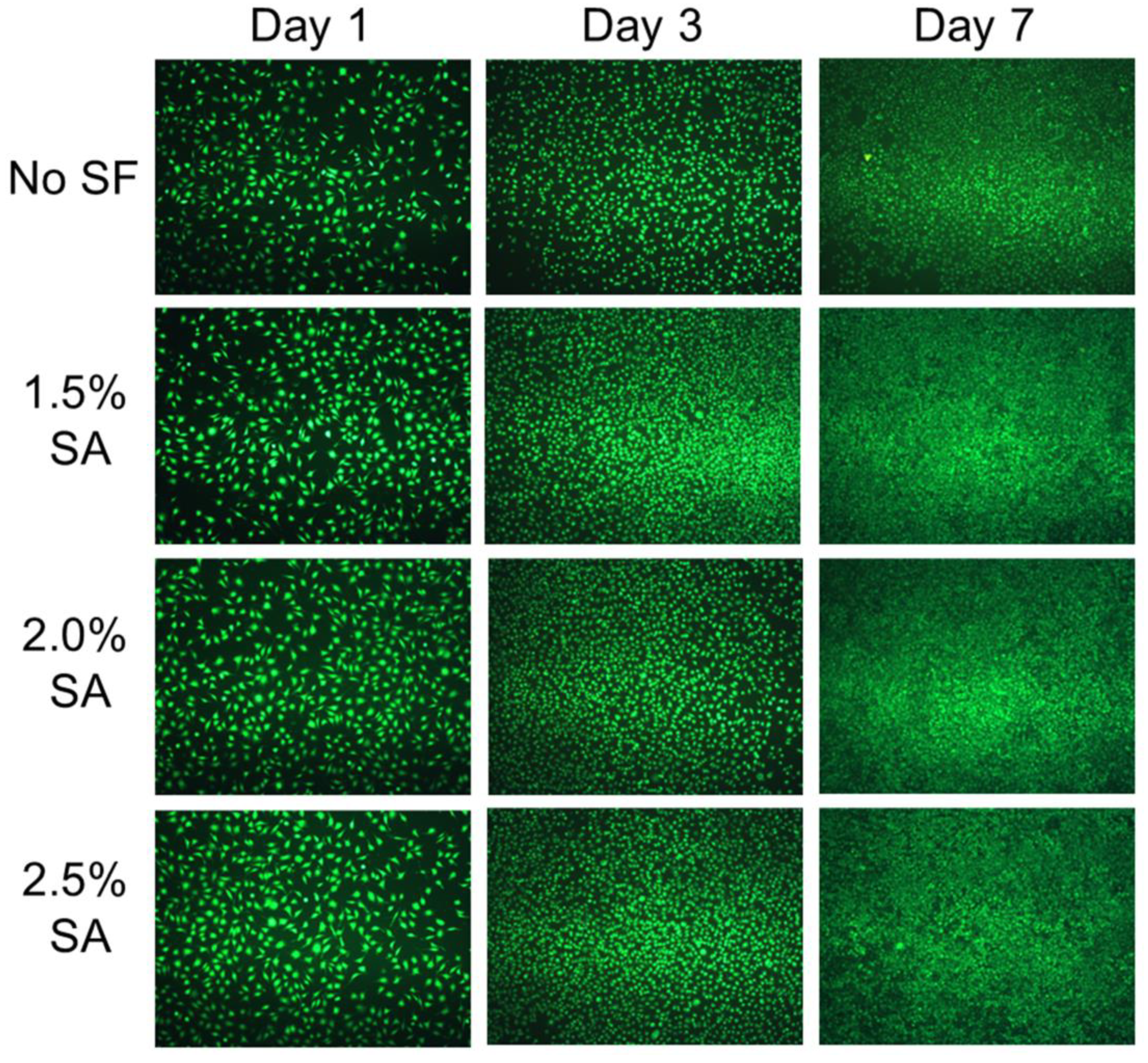 Marinedrugs 21 00241 g009