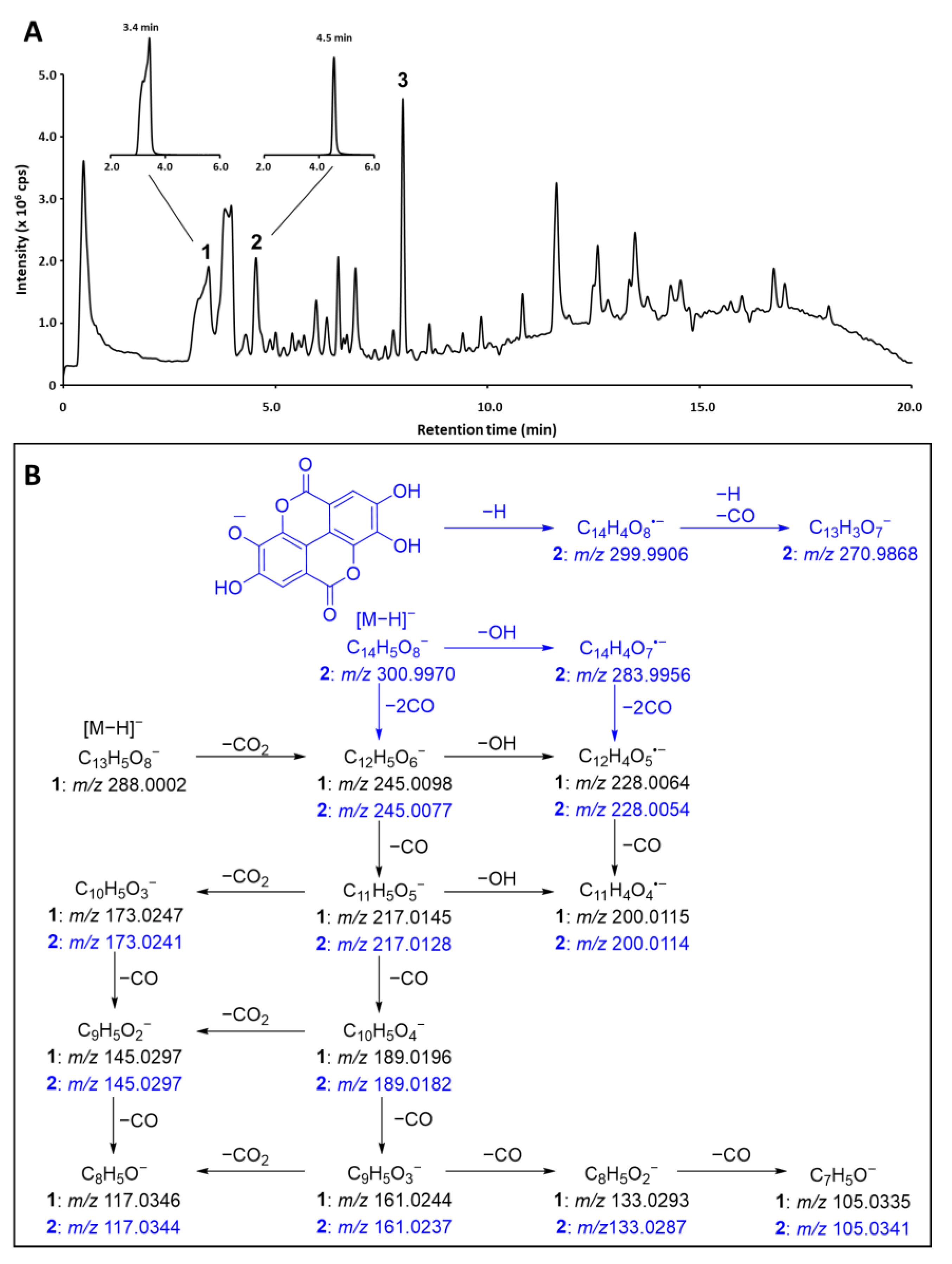 Marinedrugs 21 00242 g001