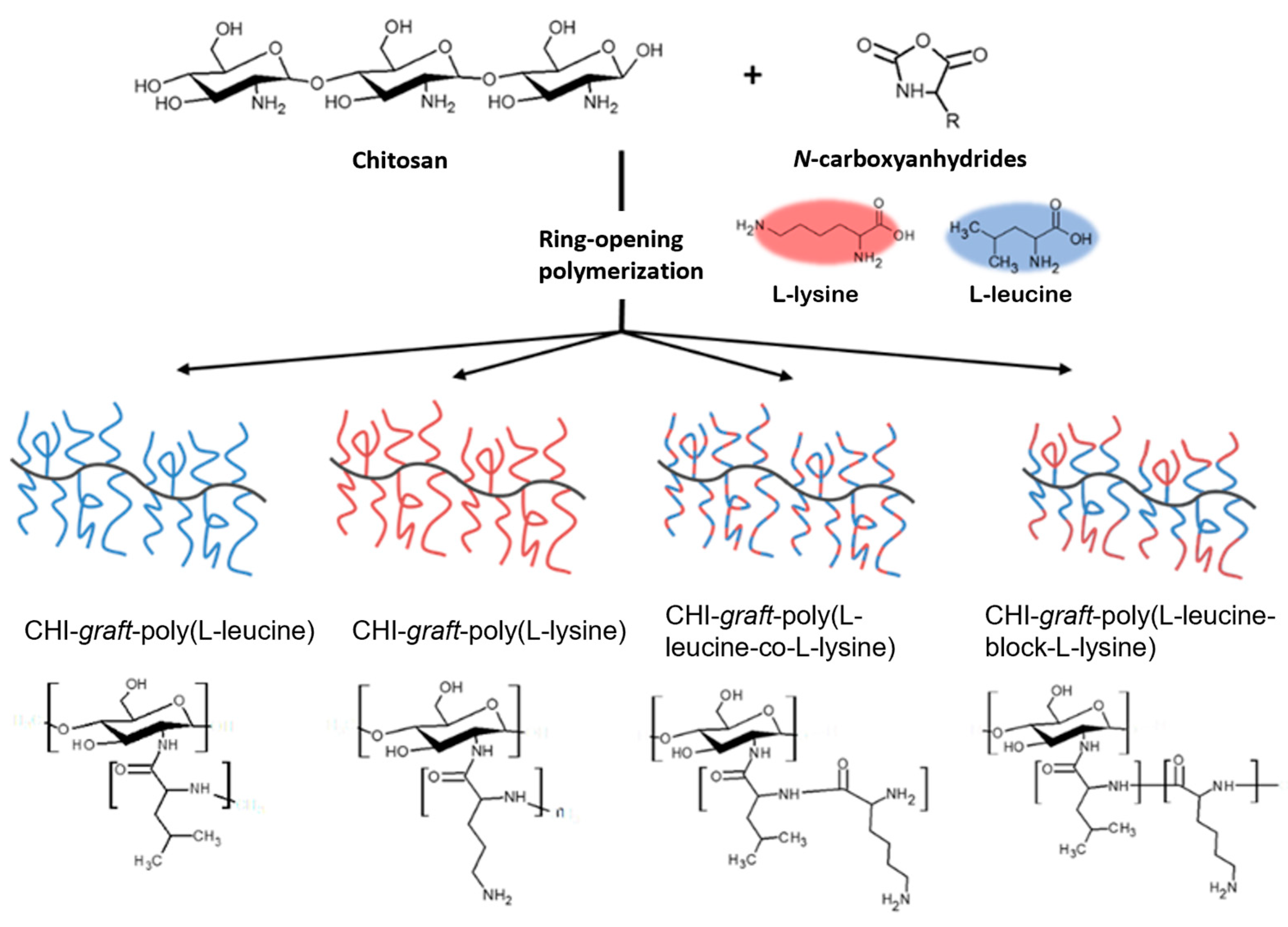 Marinedrugs 21 00243 g001