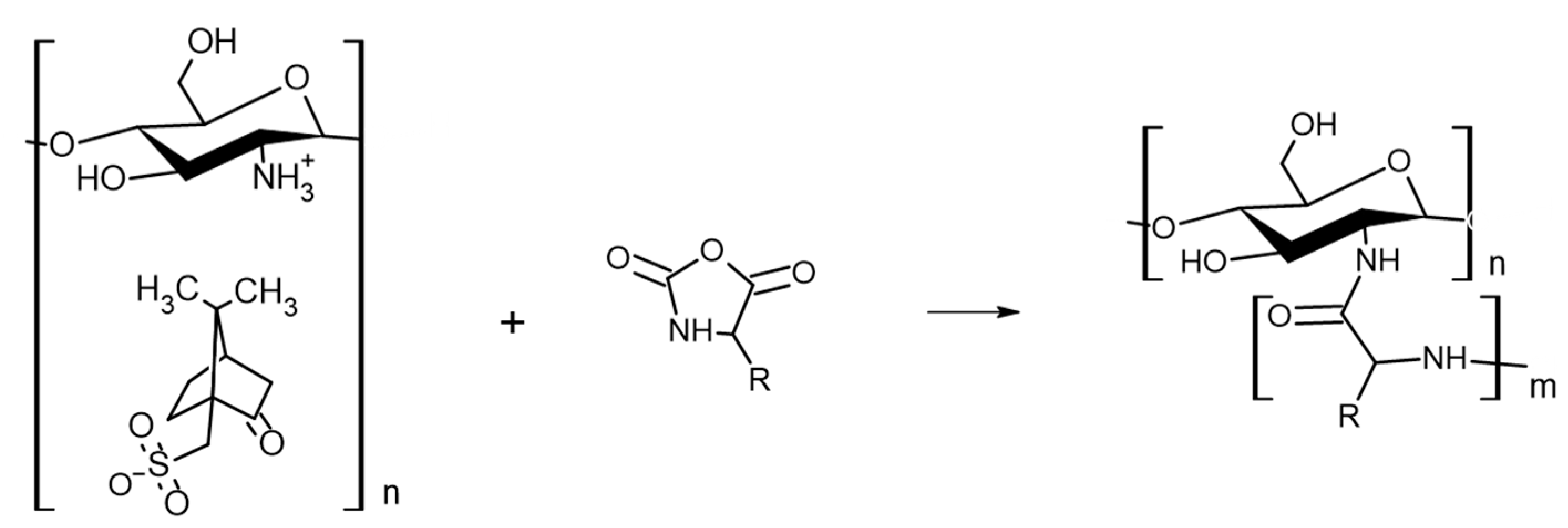 Marinedrugs 21 00243 g003