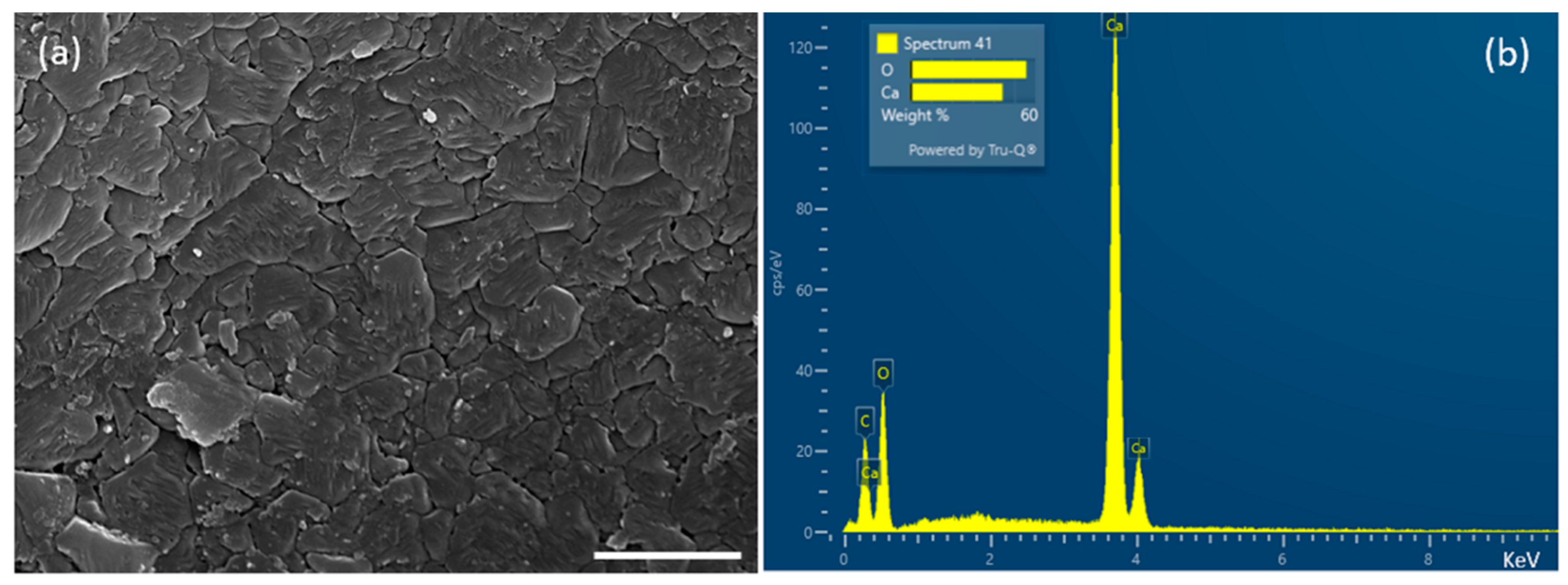 Marinedrugs 21 00248 g001