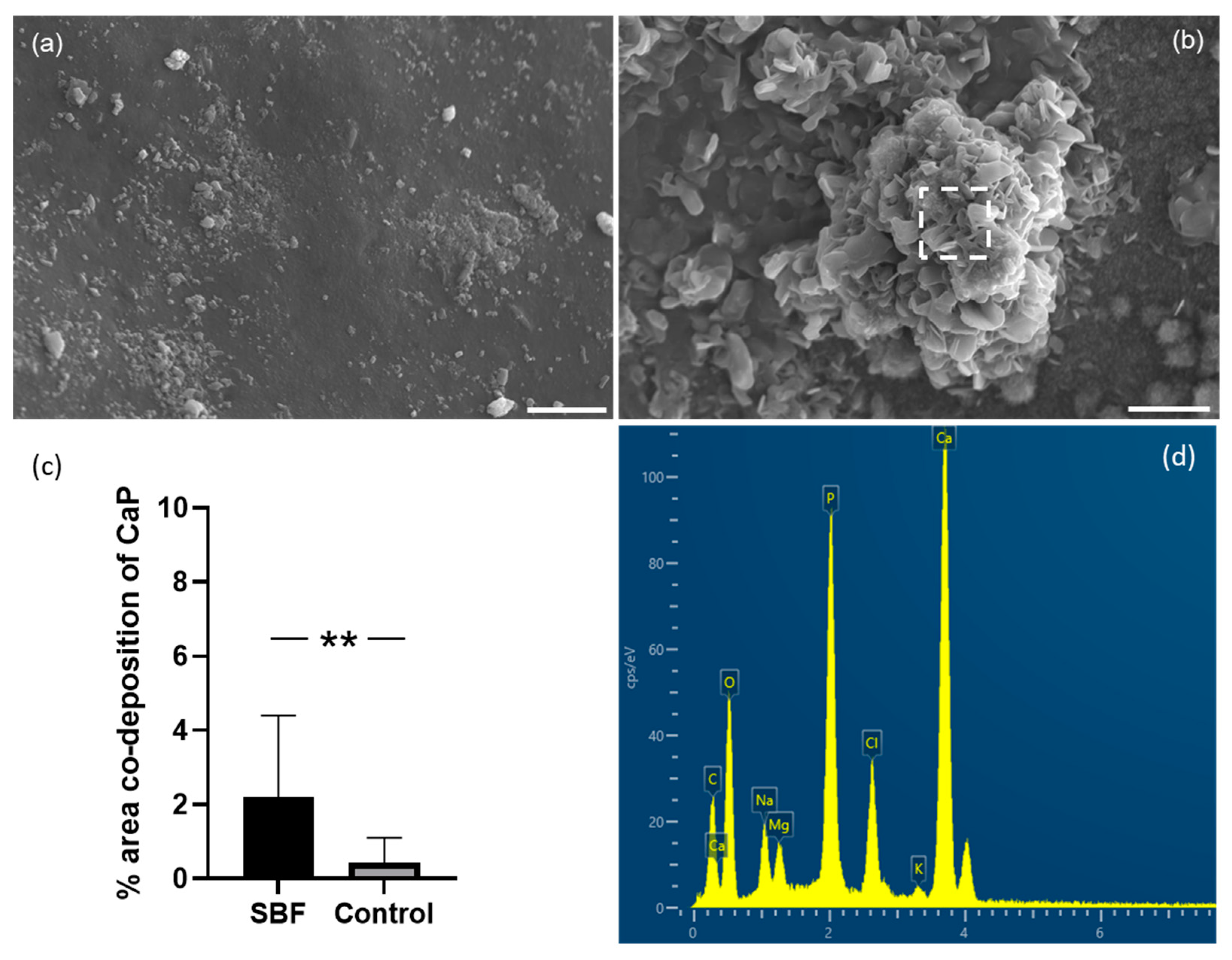 Marinedrugs 21 00248 g006