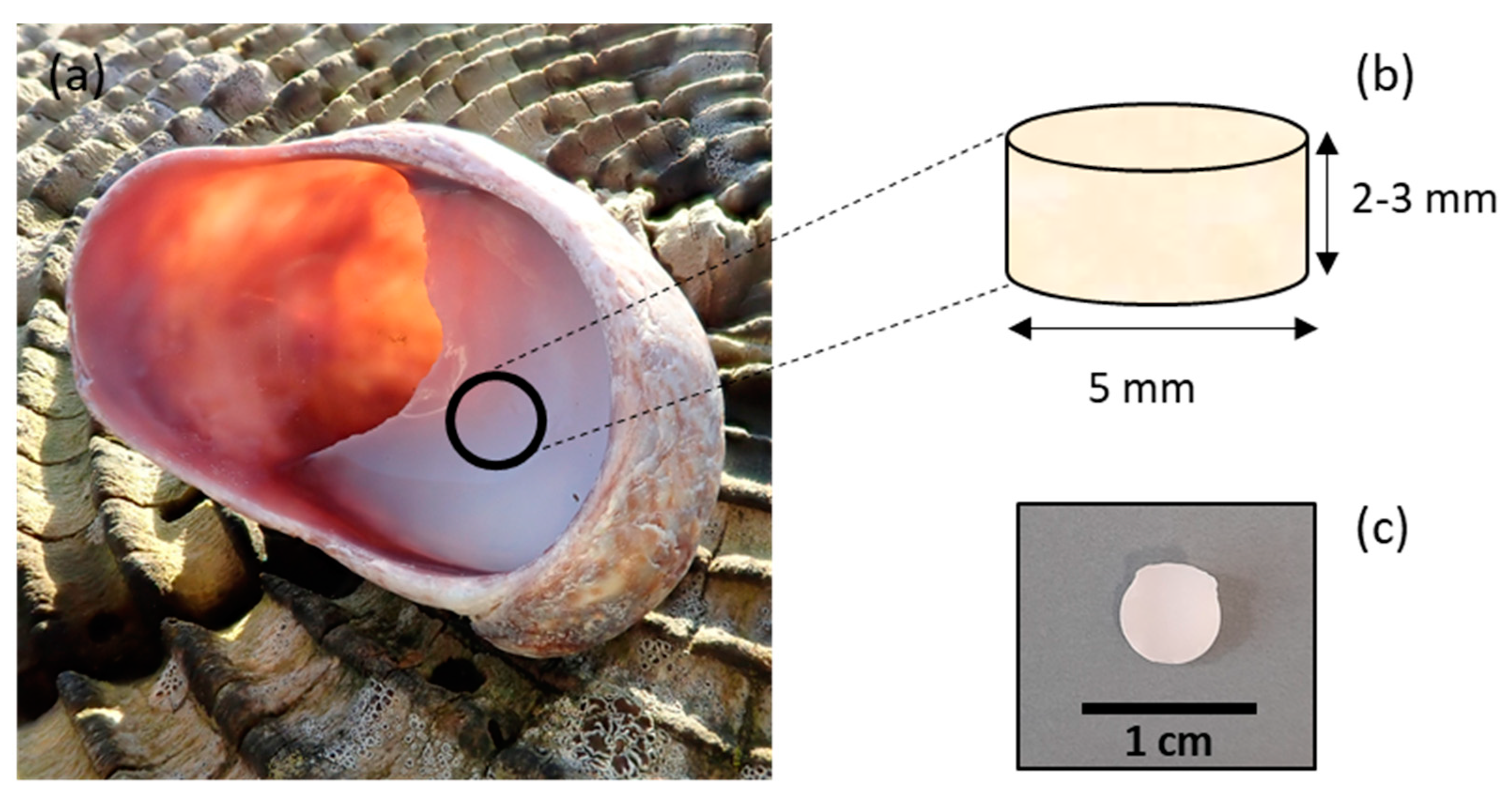 Marinedrugs 21 00248 g011