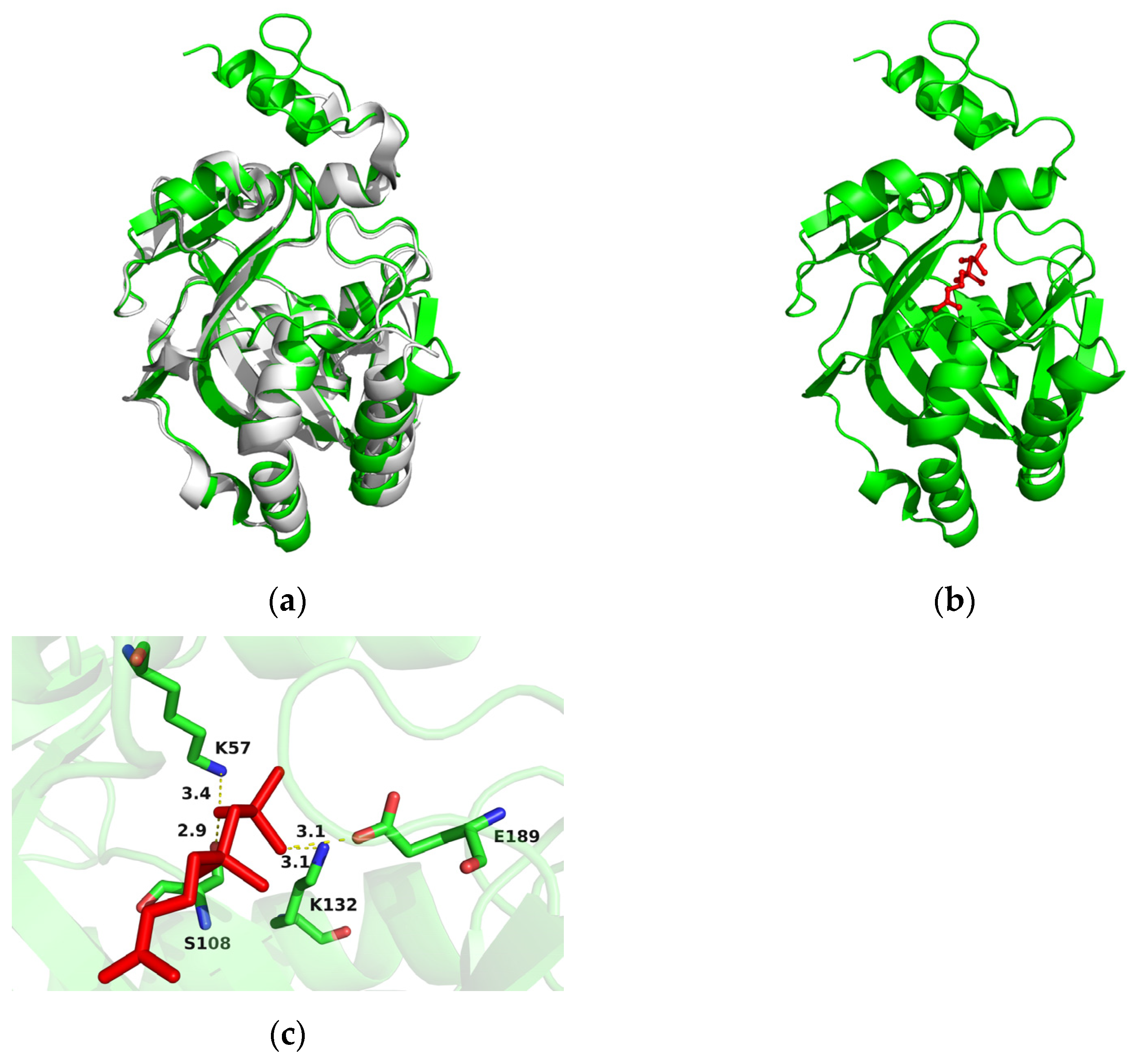 Marinedrugs 21 00249 g003