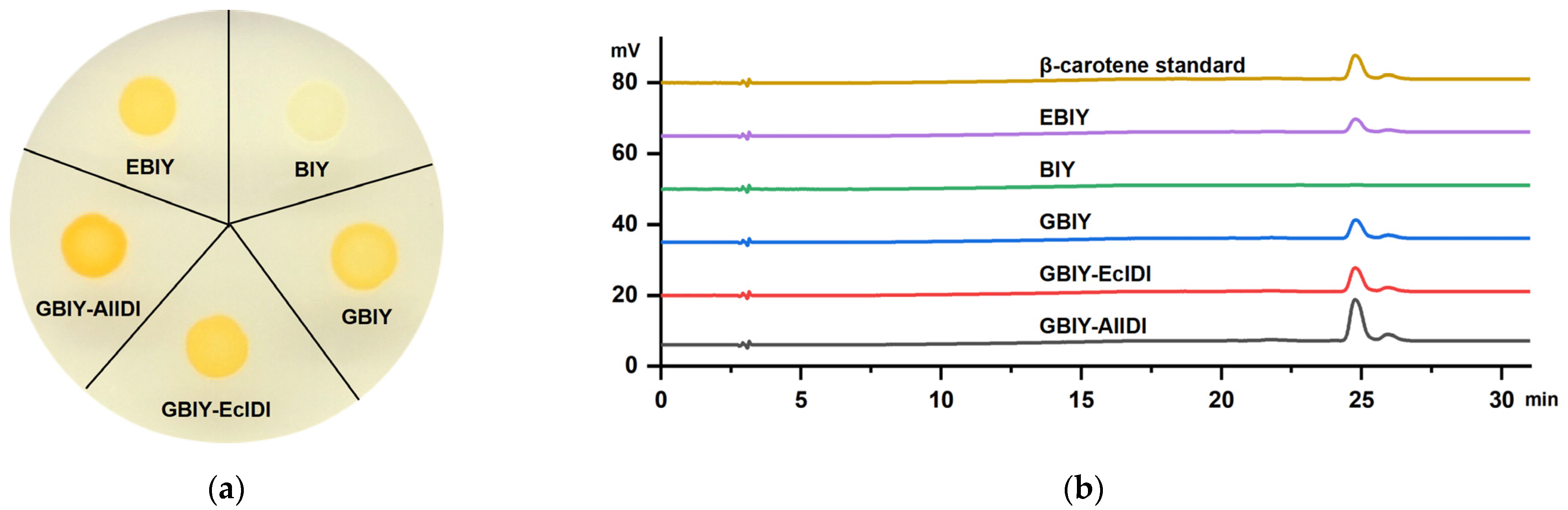Marinedrugs 21 00249 g006