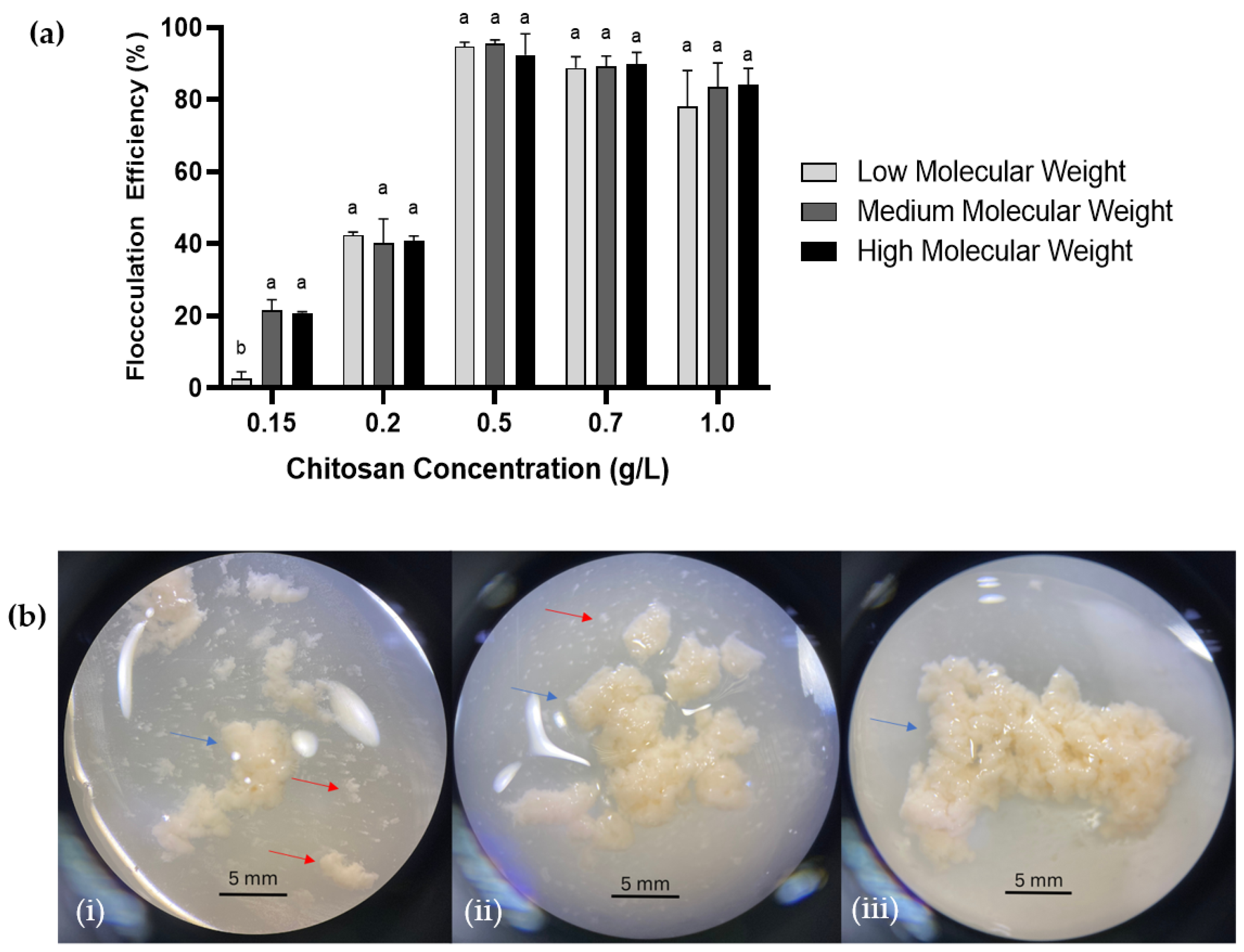 Marinedrugs 21 00251 g002 Marinedrugs 21 00251 g002