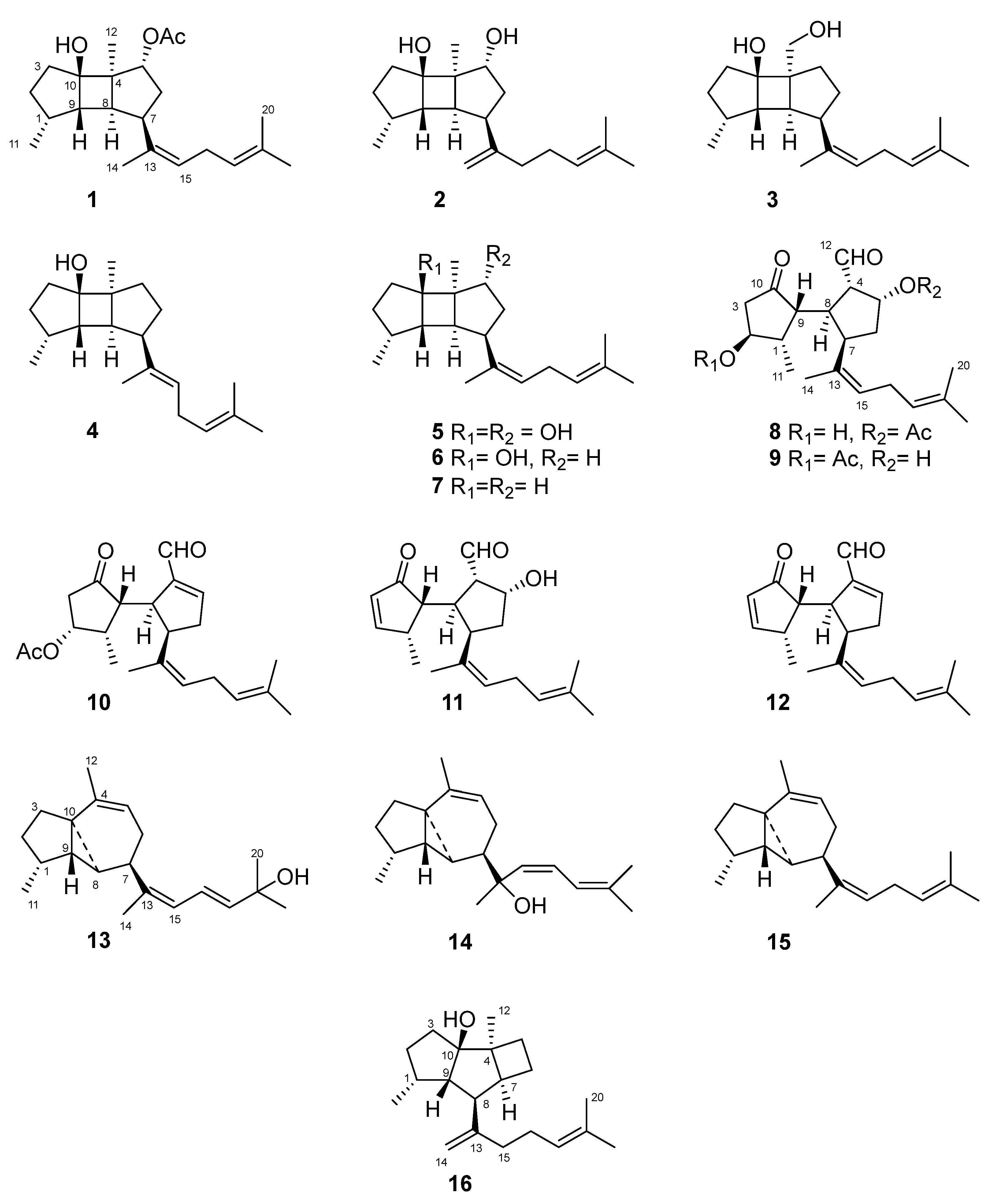 Marinedrugs 21 00252 g002