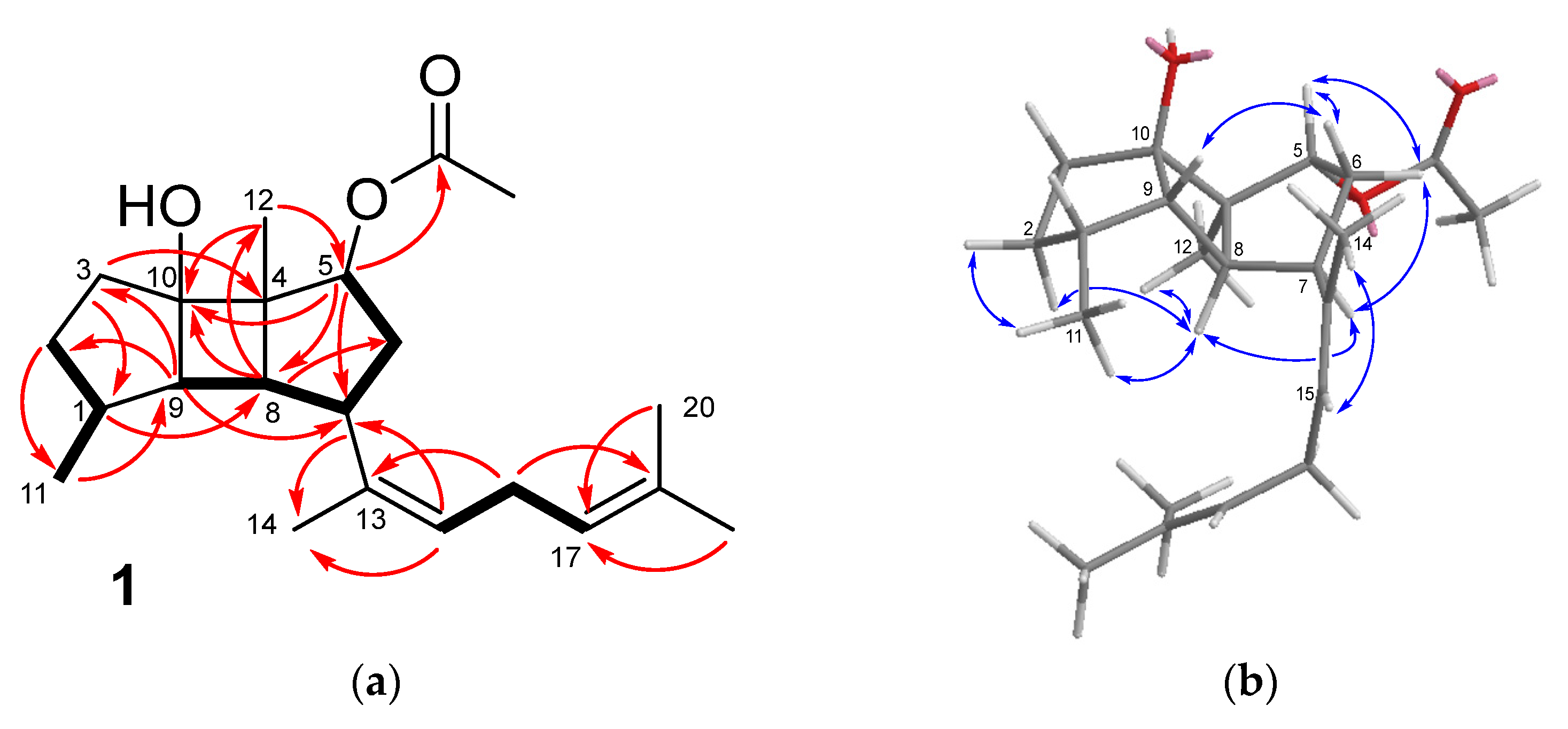 Marinedrugs 21 00252 g003