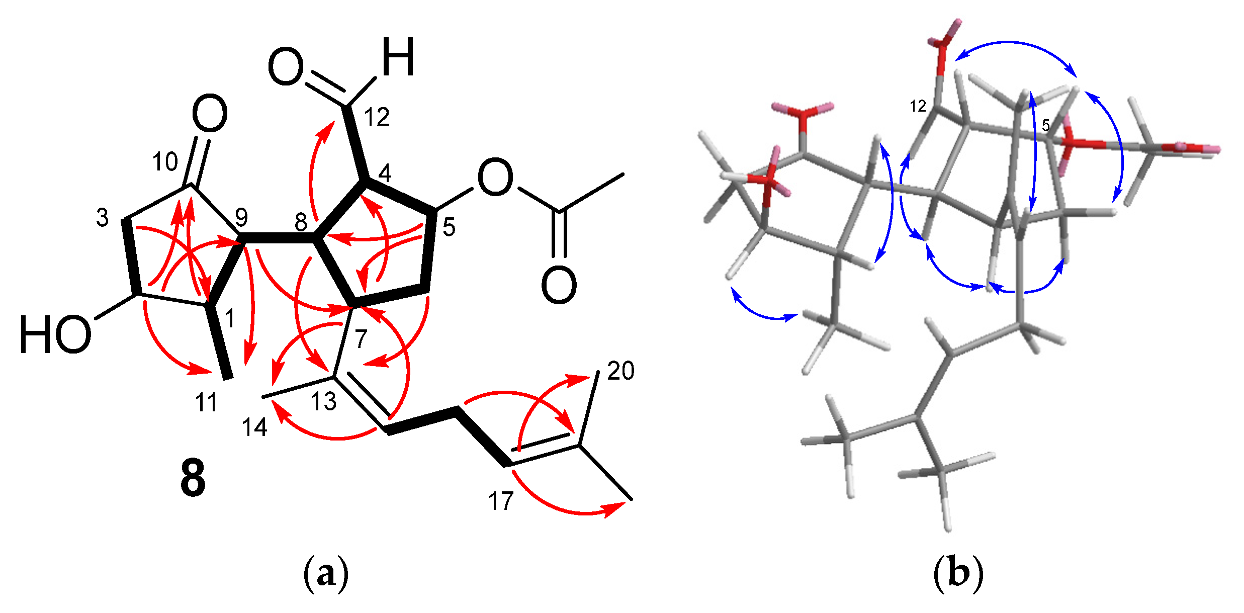 Marinedrugs 21 00252 g004