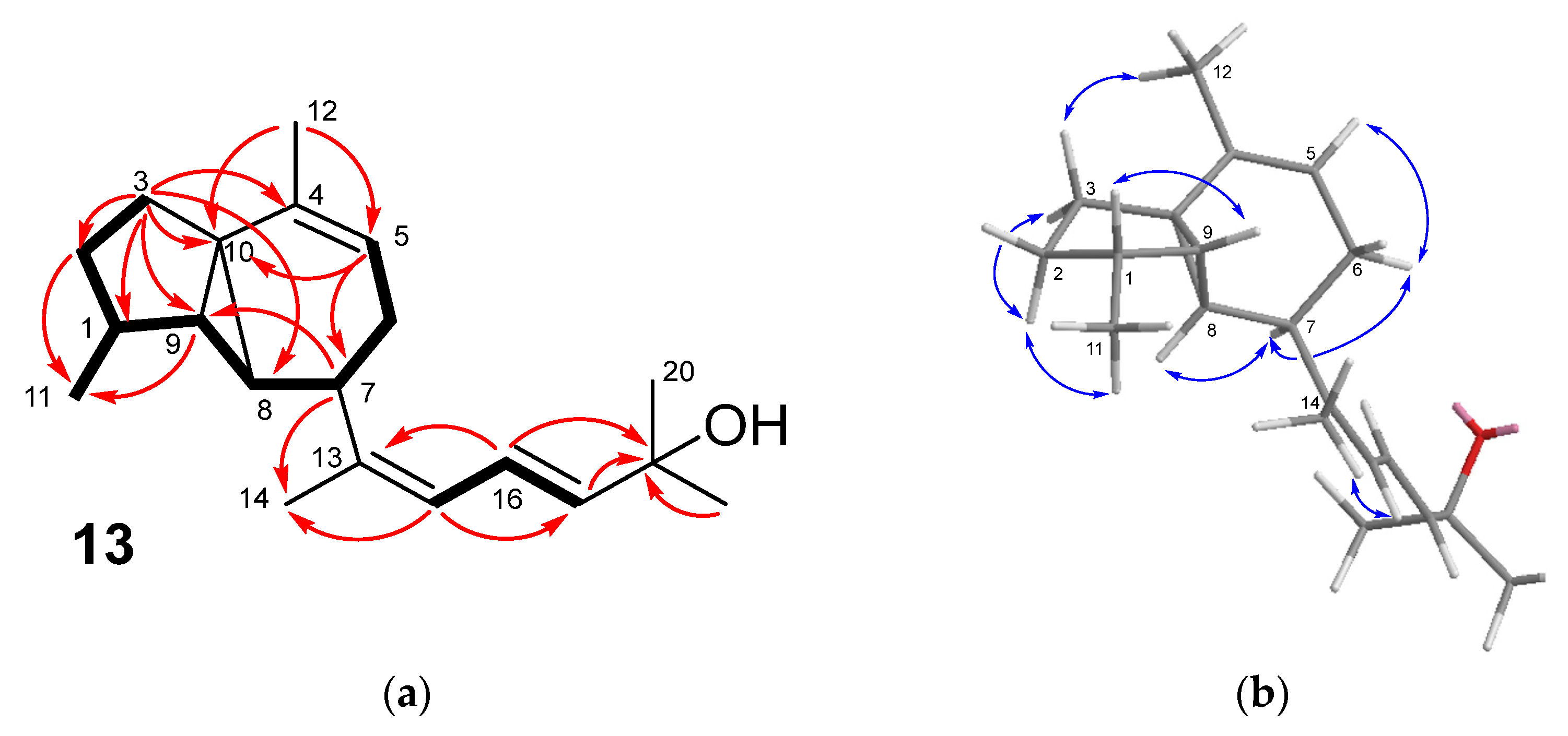 Marinedrugs 21 00252 g005