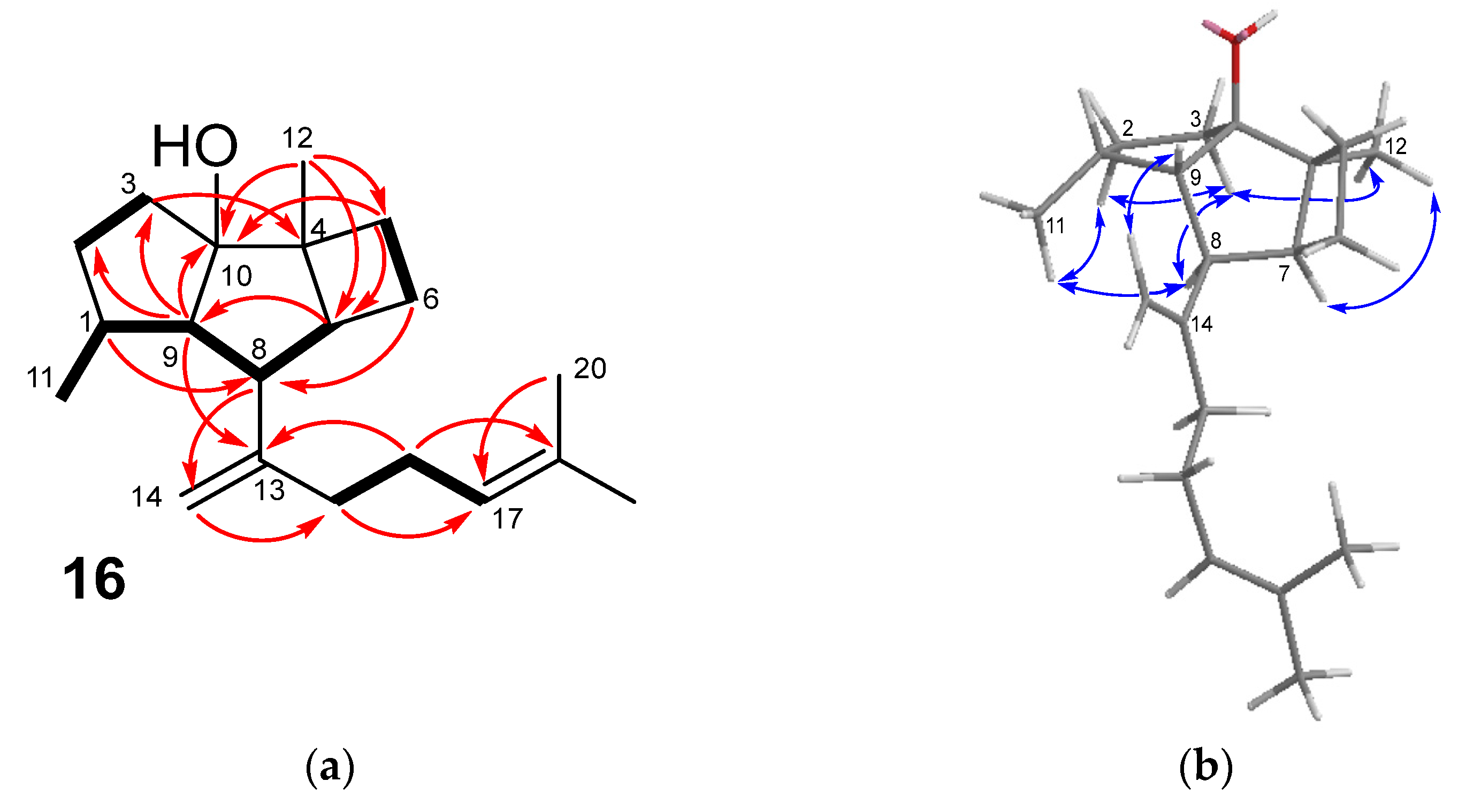 Marinedrugs 21 00252 g006