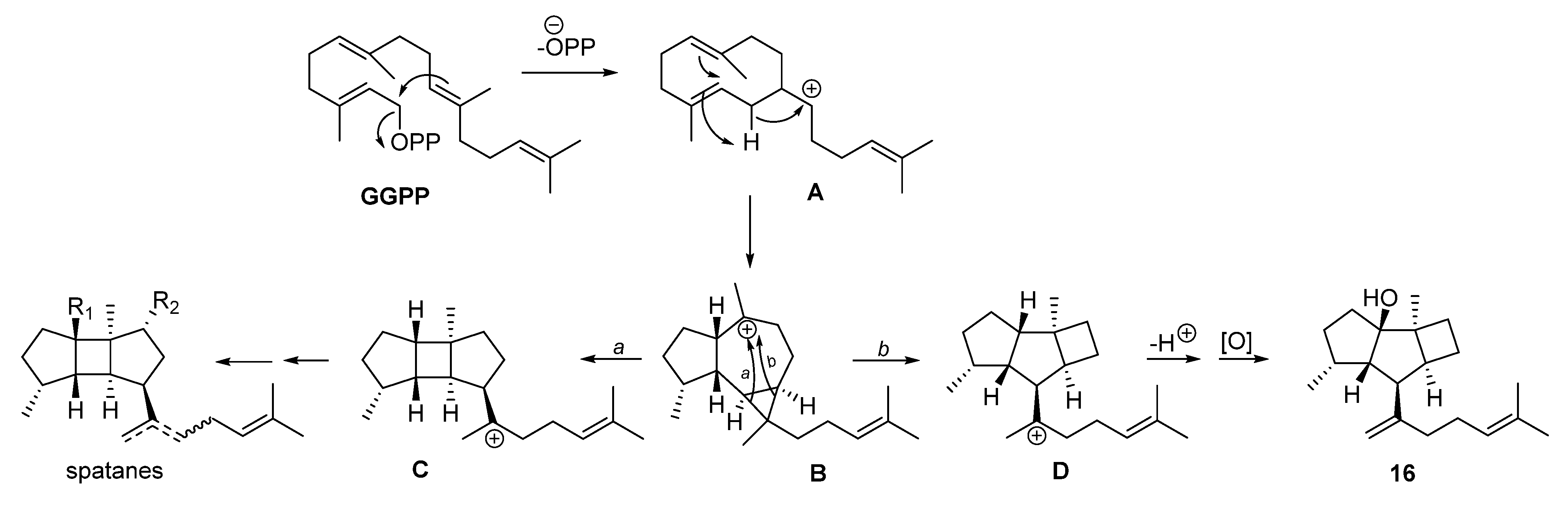 Marinedrugs 21 00252 g007