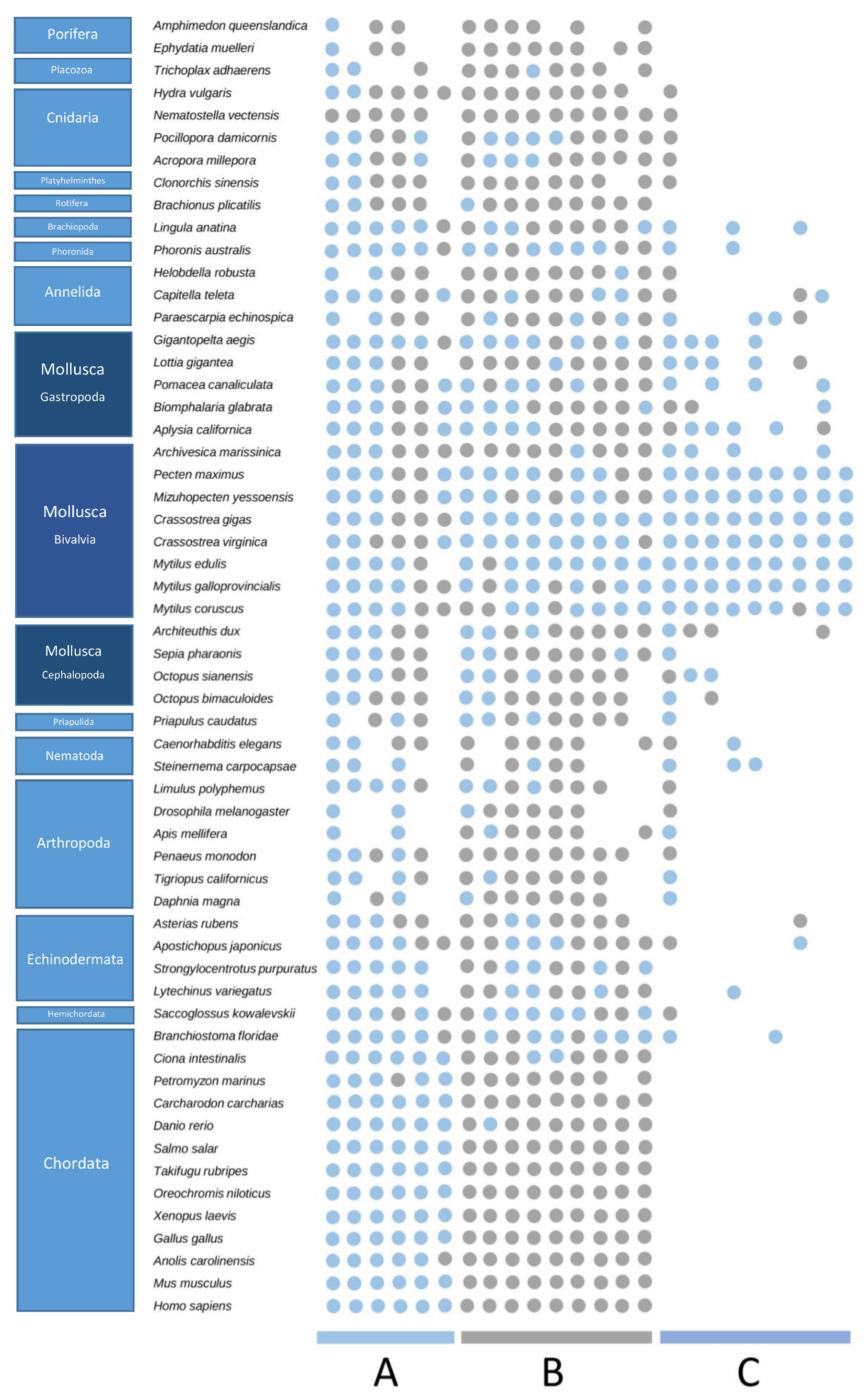 Marinedrugs 21 00254 g006