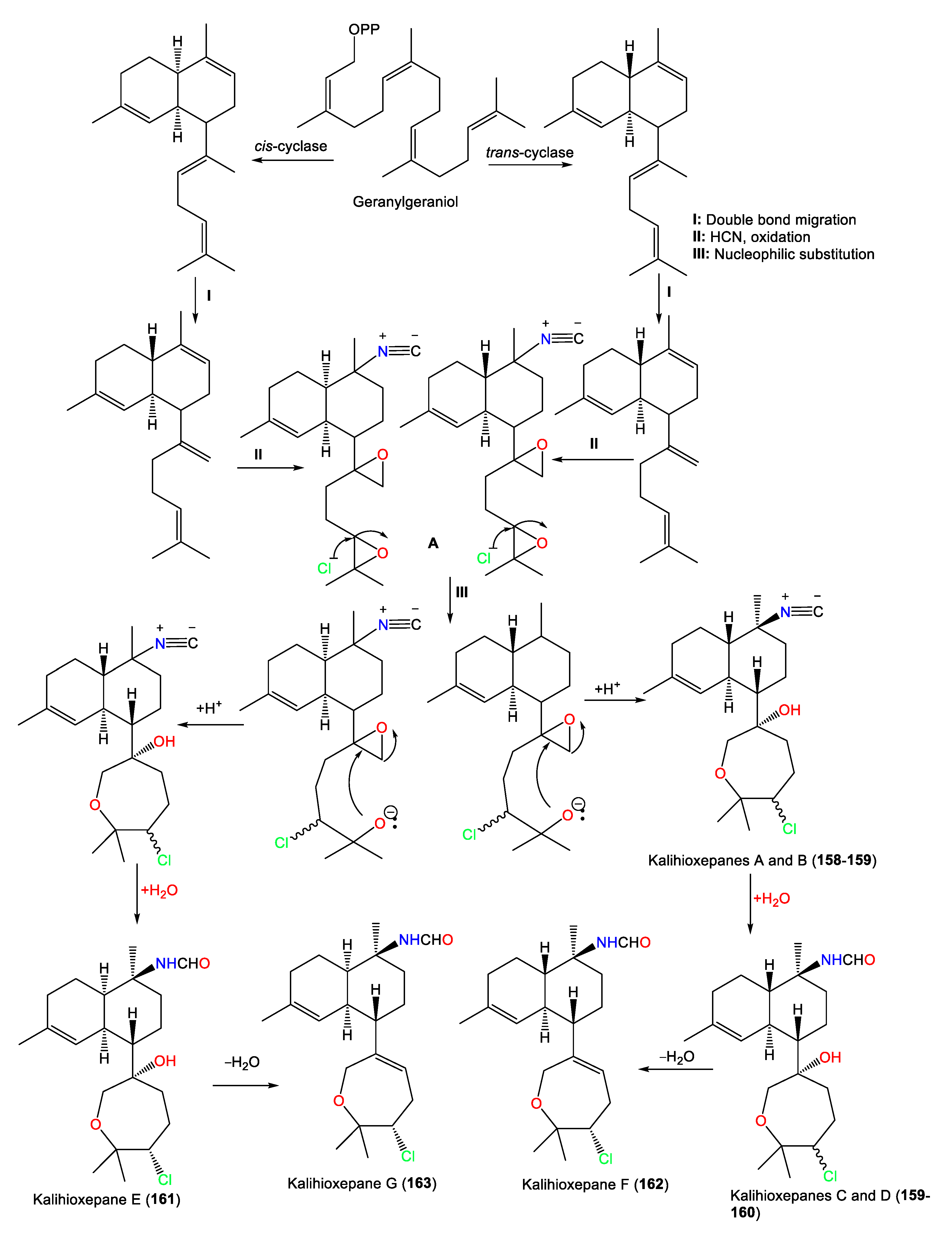 Marinedrugs 21 00257 sch002