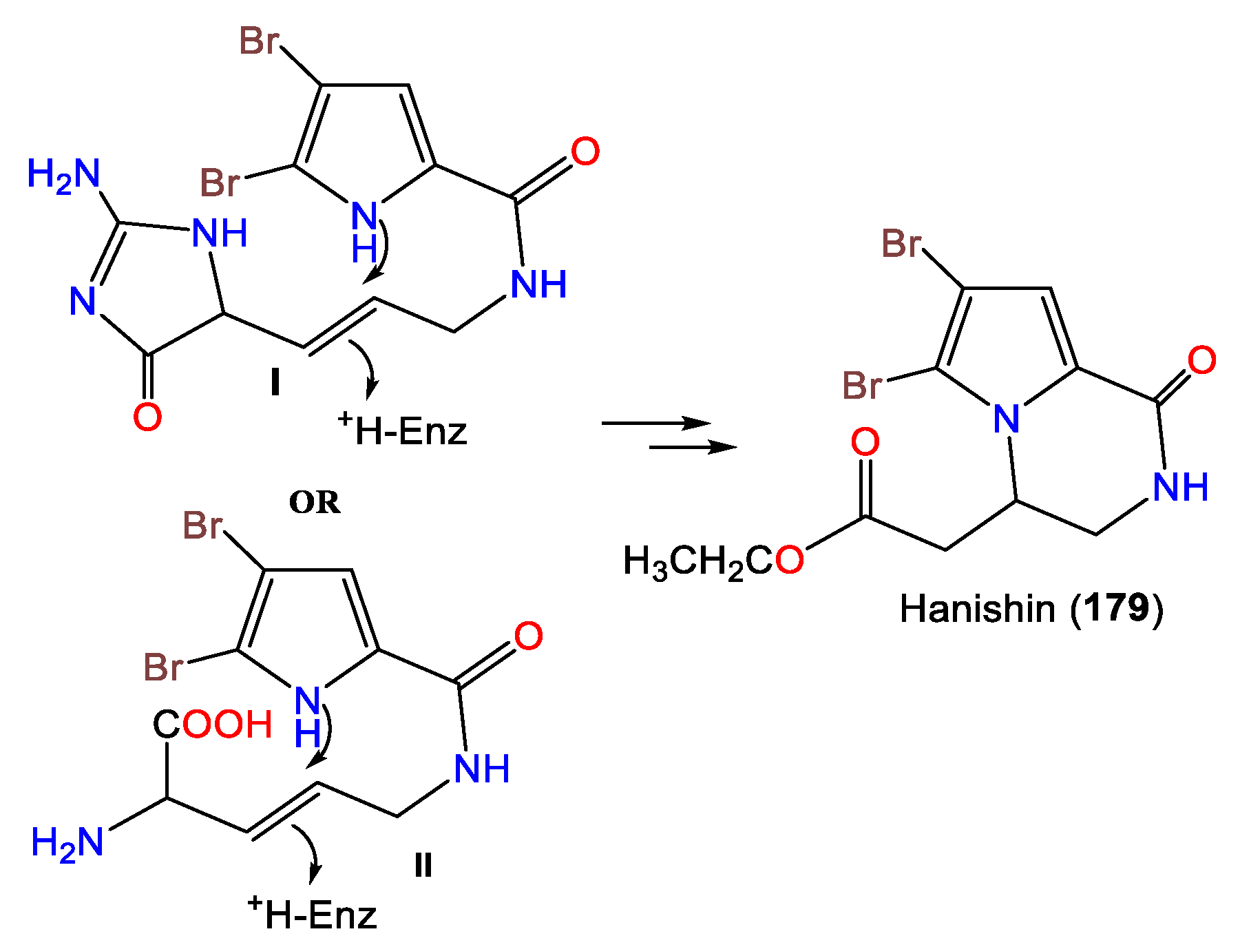 Marinedrugs 21 00257 sch004
