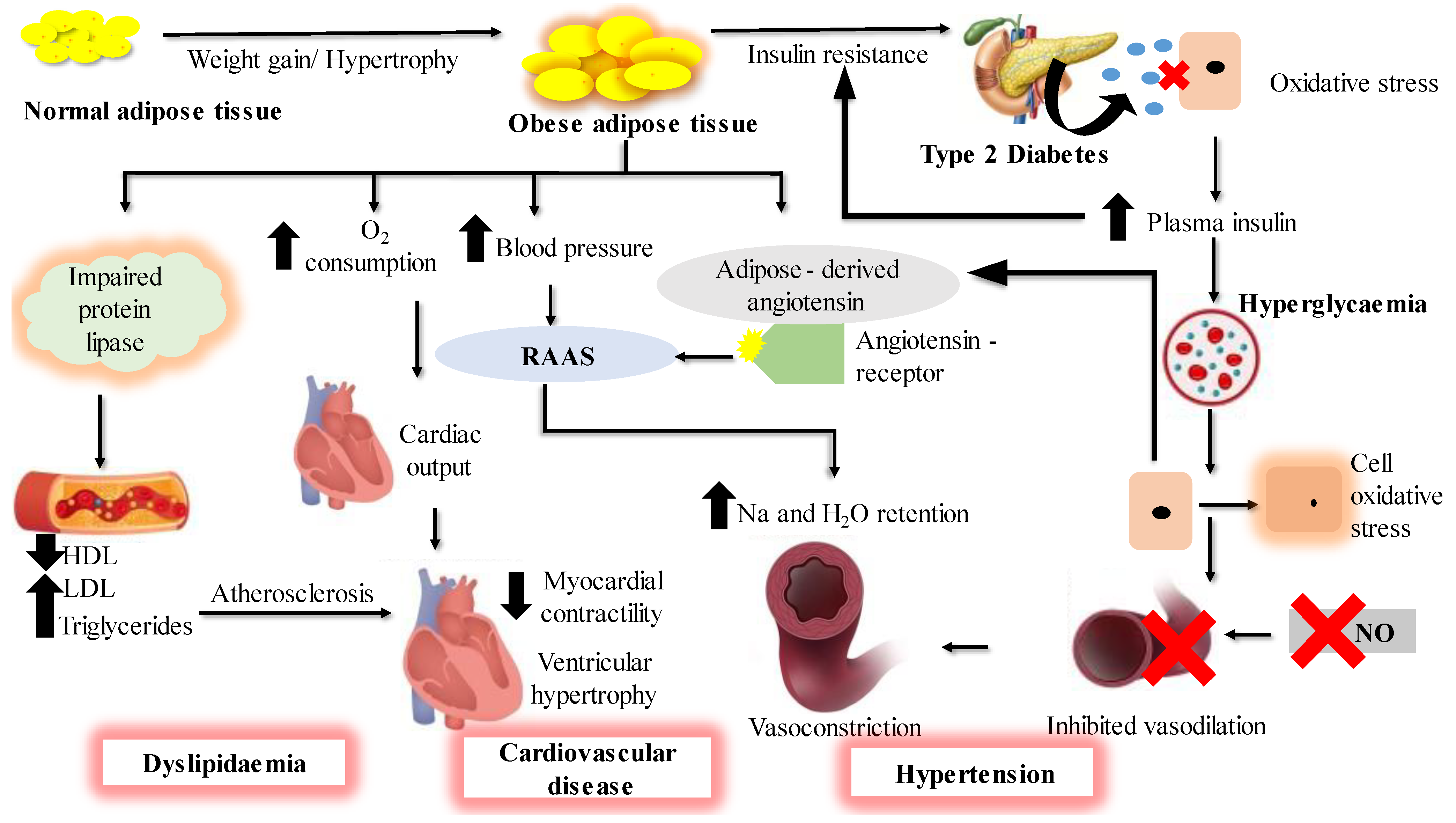Marinedrugs 21 00258 g001