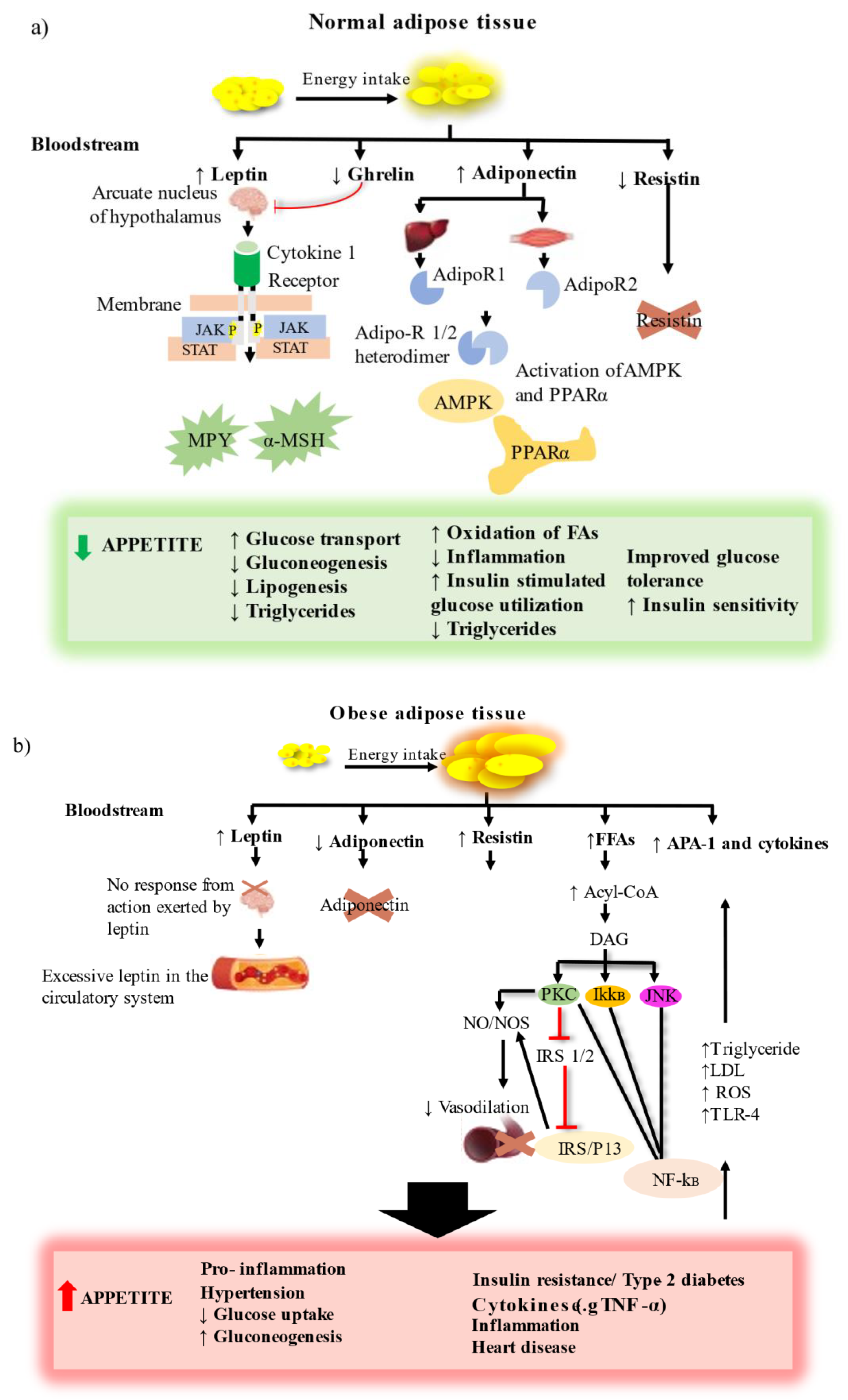 Marinedrugs 21 00258 g002