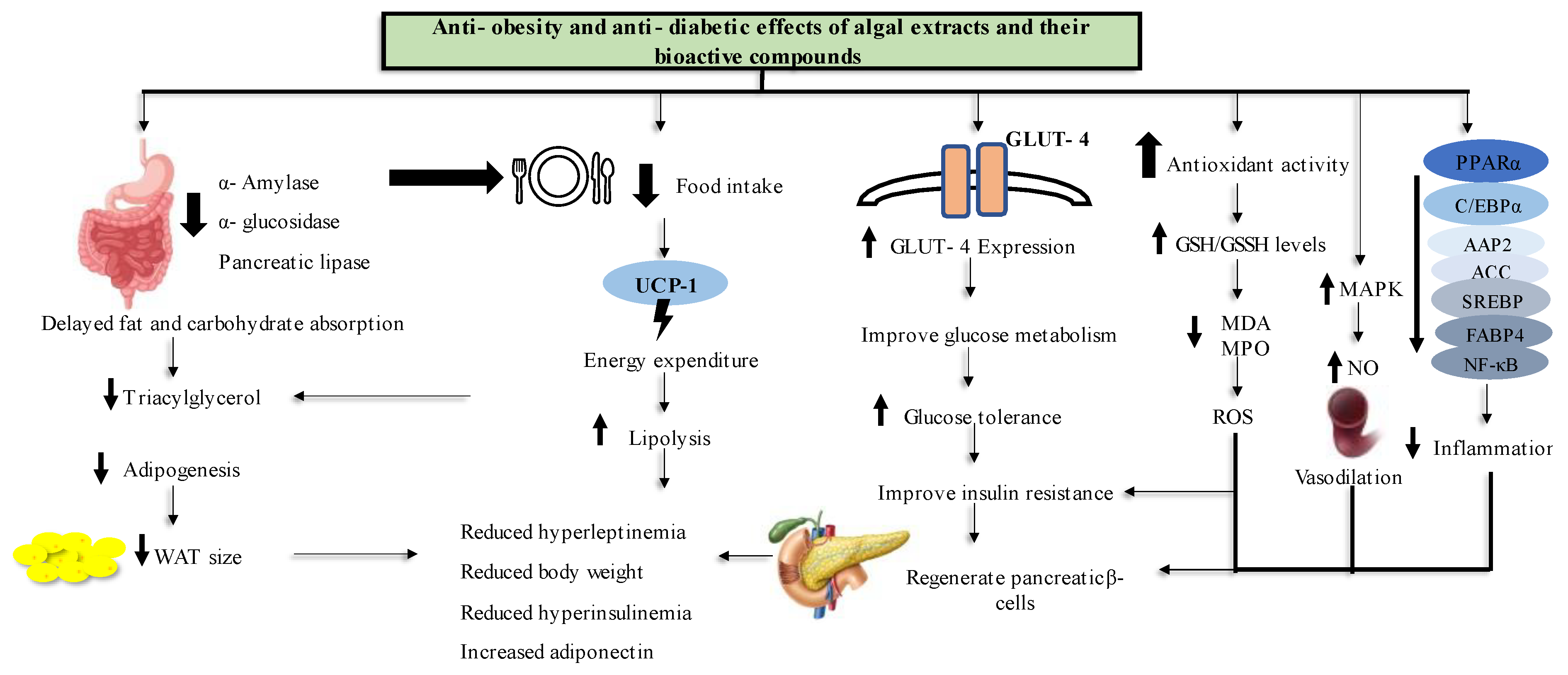 Marinedrugs 21 00258 g006