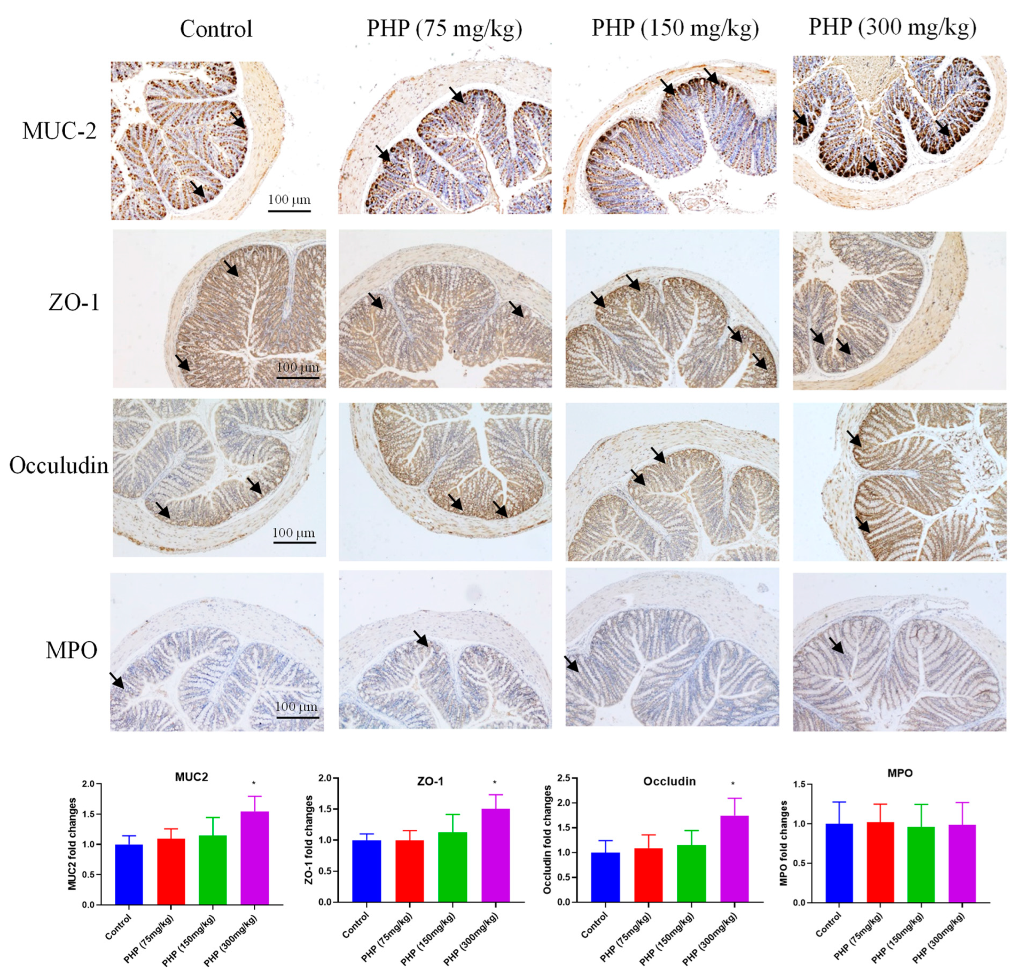 Marinedrugs 21 00265 g005