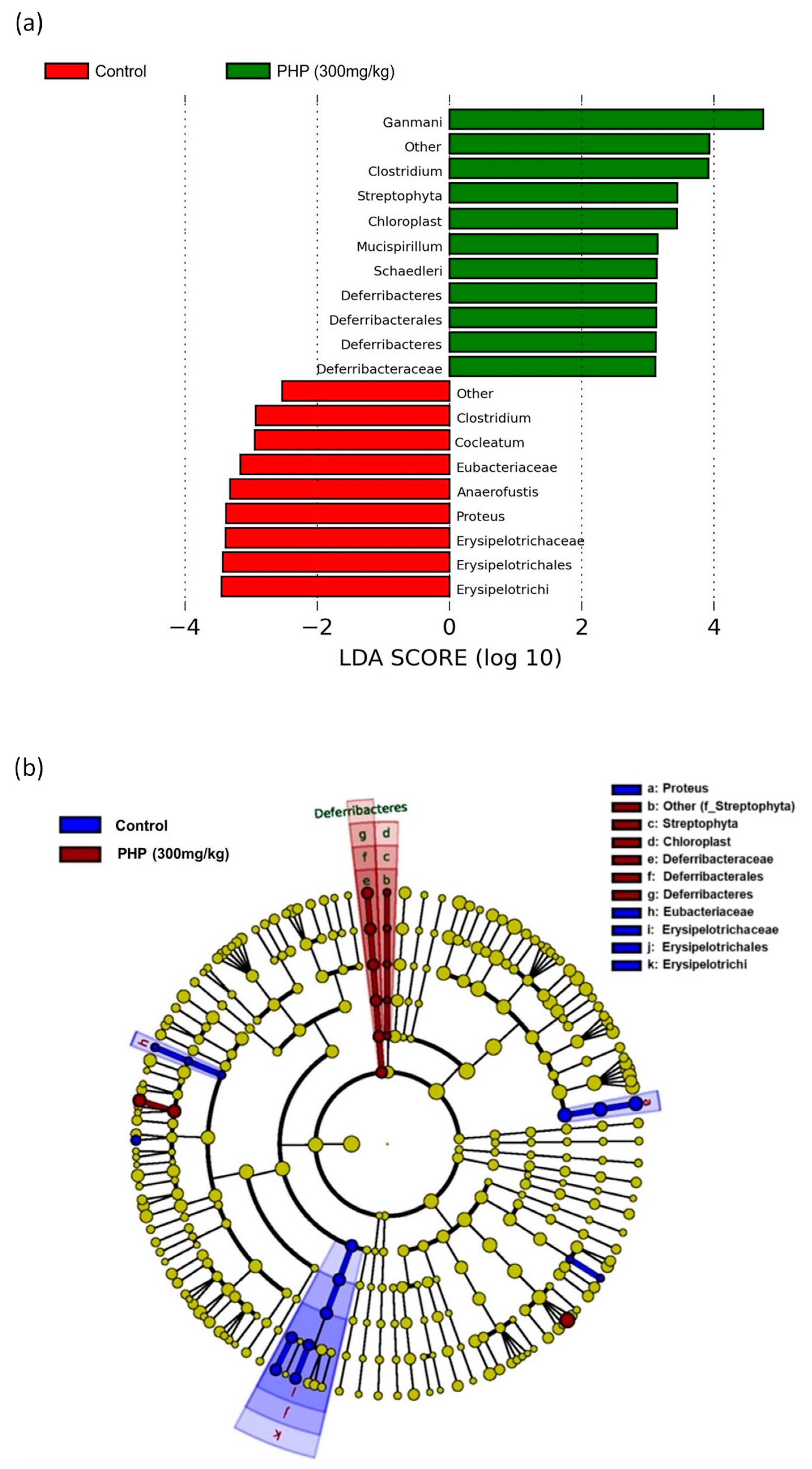 Marinedrugs 21 00265 g008